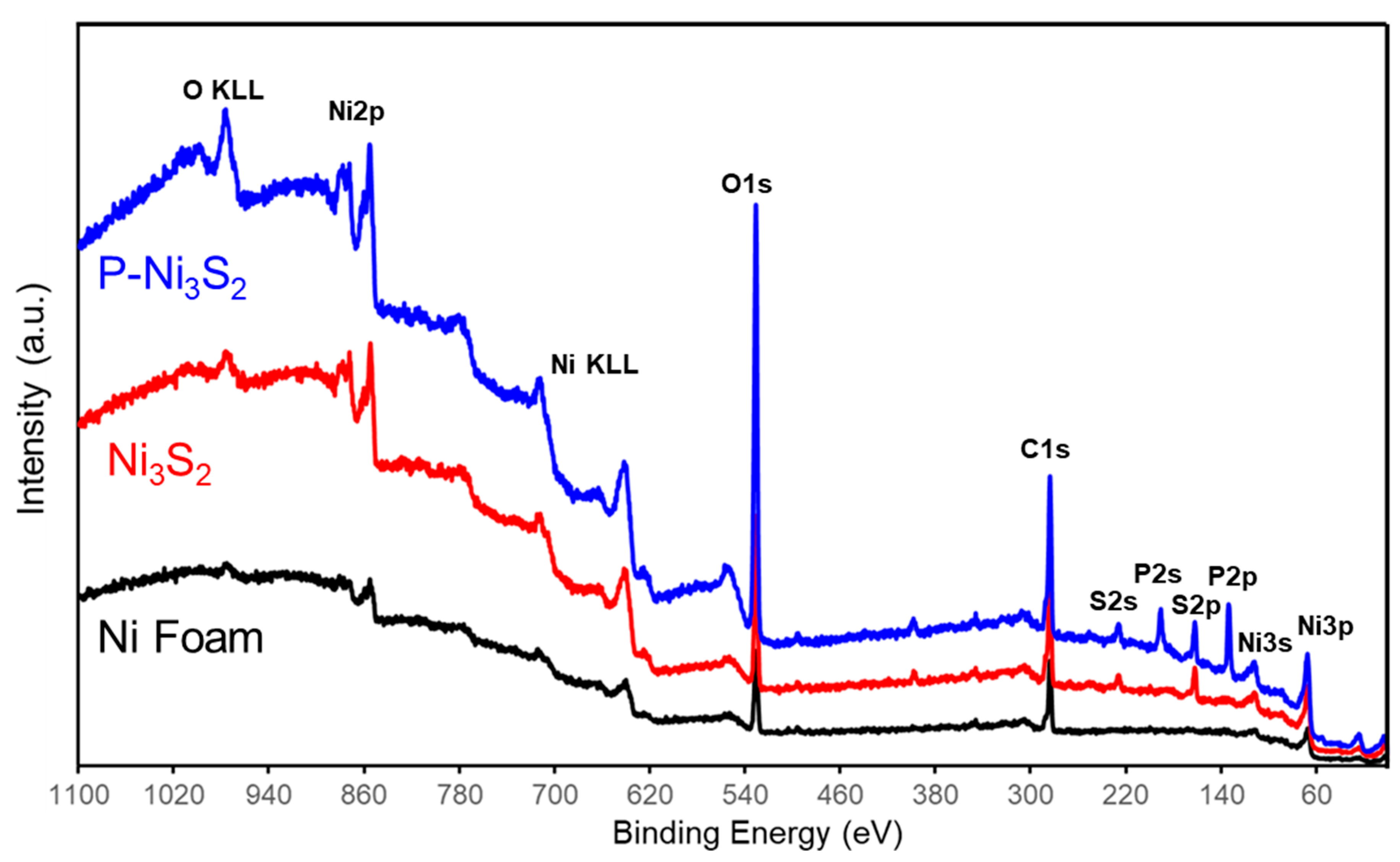 Materials 18 00549 g003