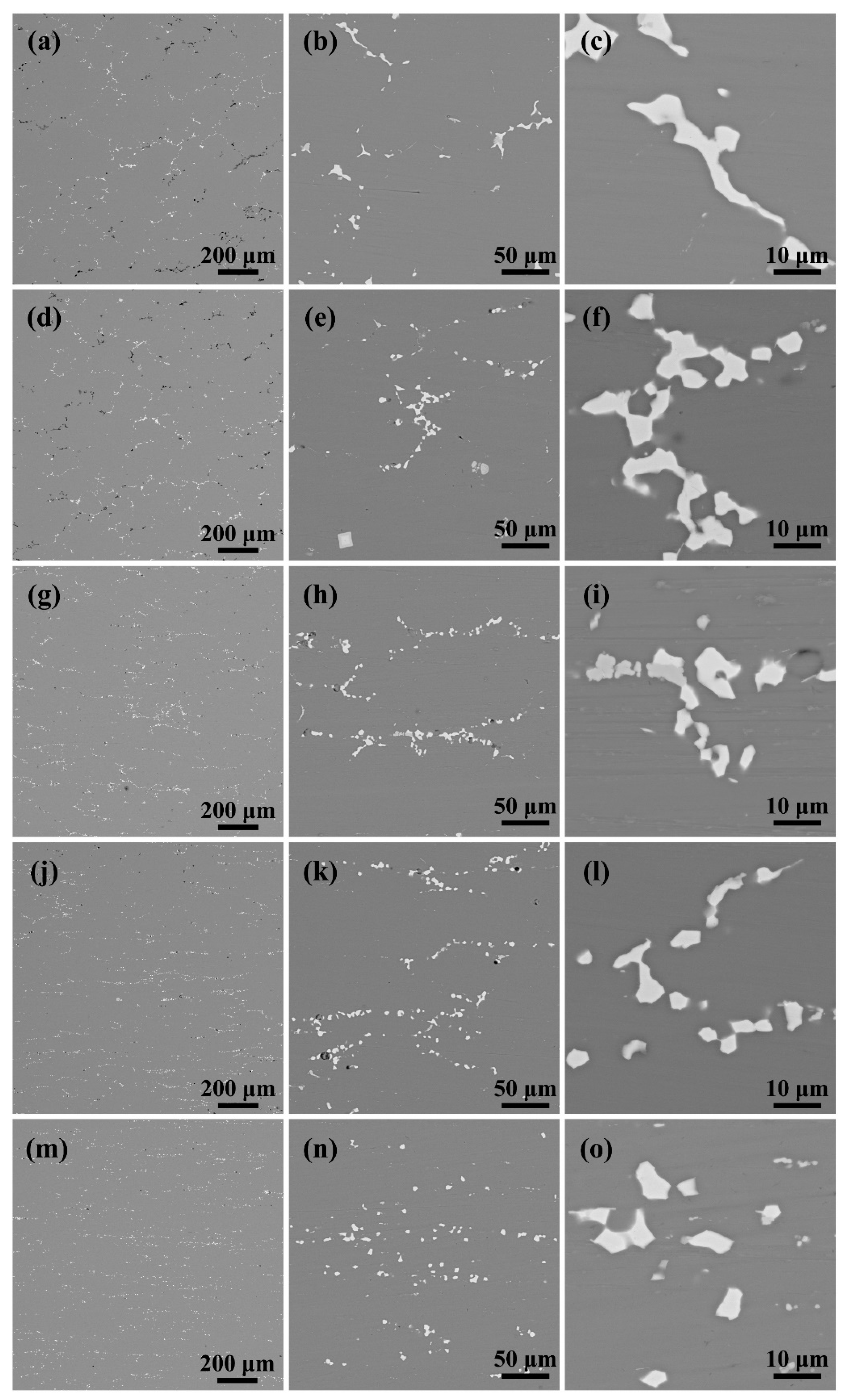 Materials 18 00554 g003