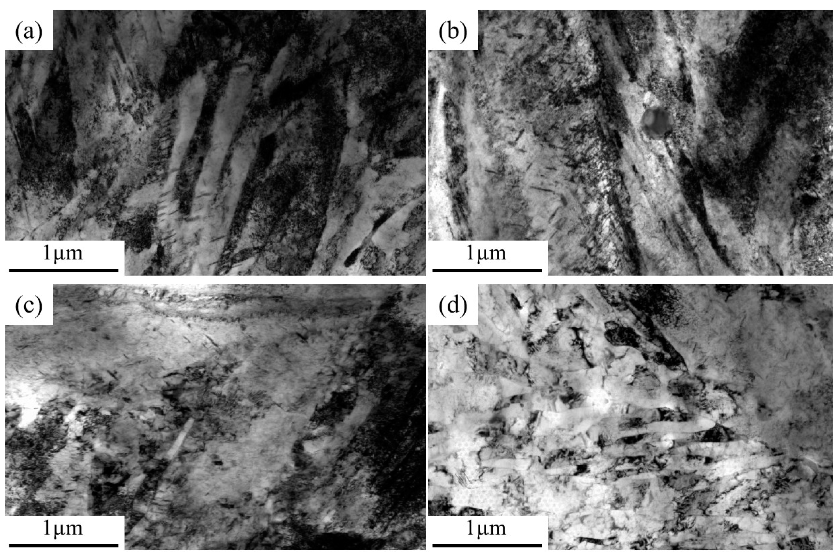 Materials 18 00555 g006