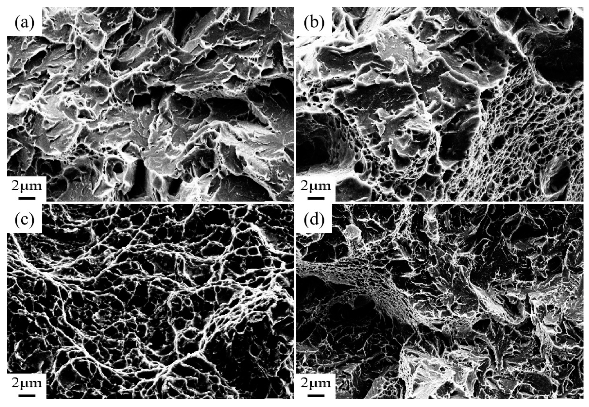 Materials 18 00555 g007