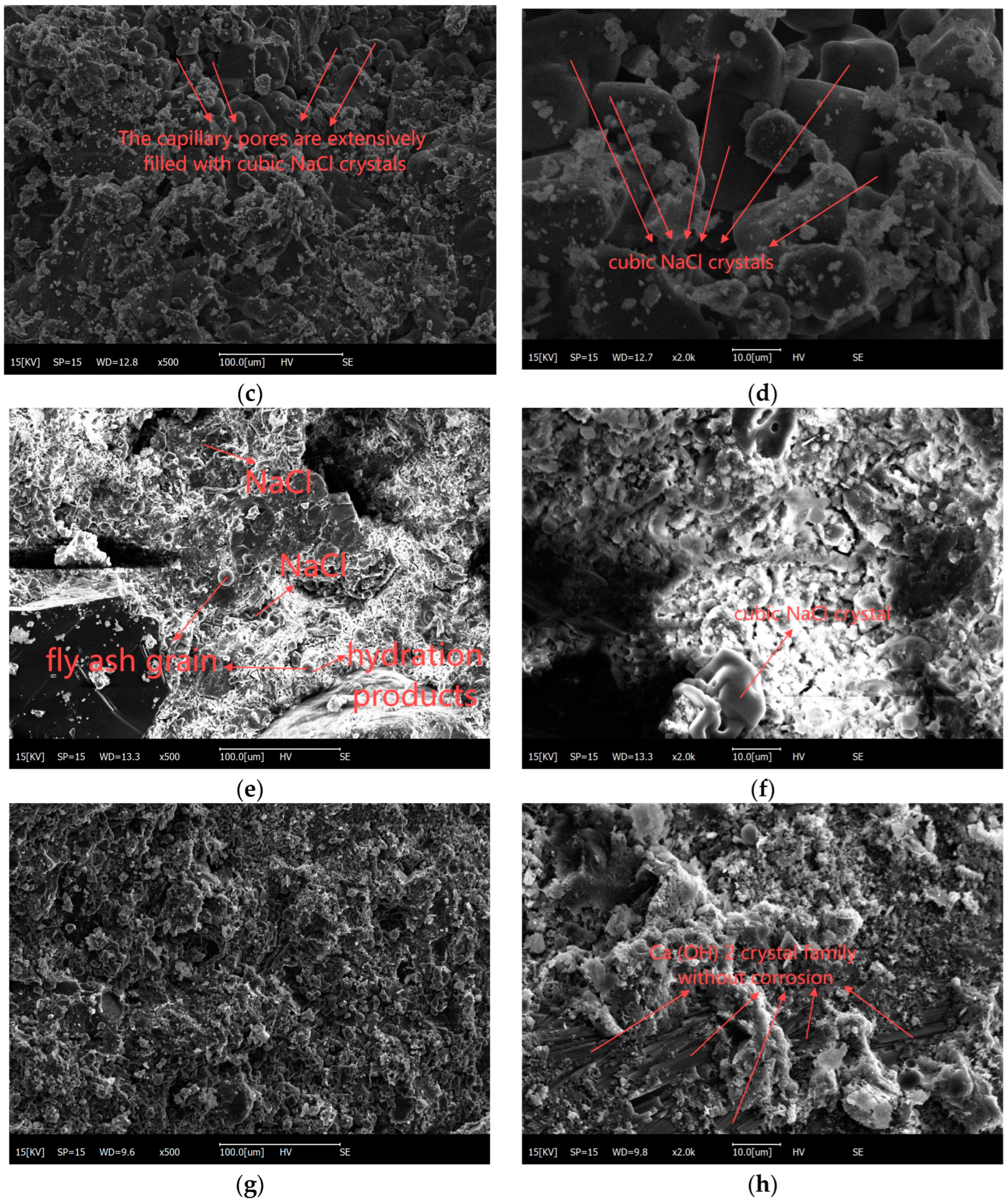 Materials 18 00565 g024b