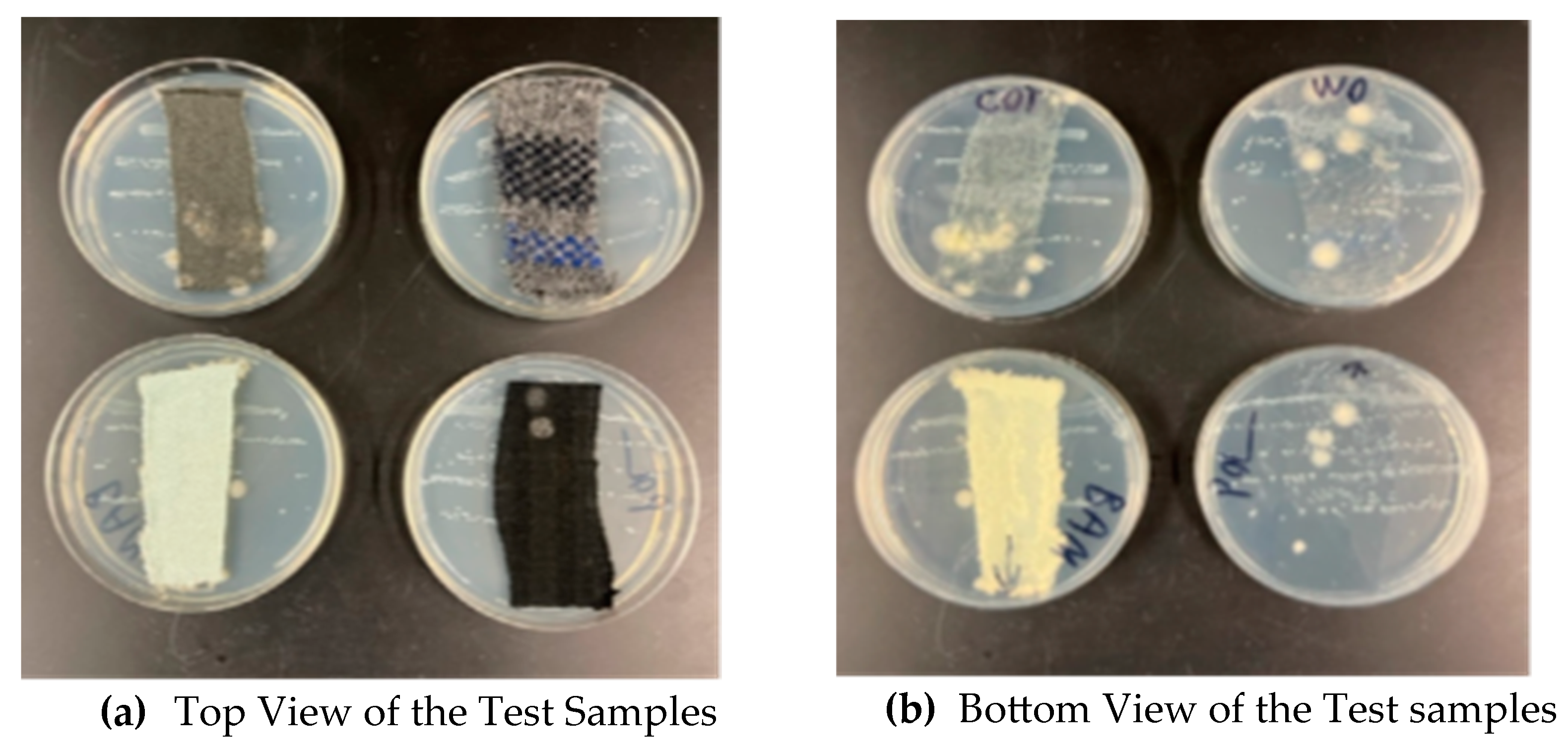 Materials 18 00572 g005