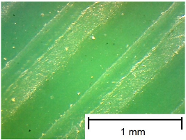 Materials 18 00573 i002