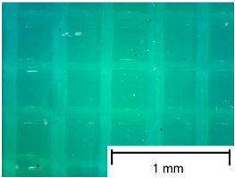 Materials 18 00573 i006