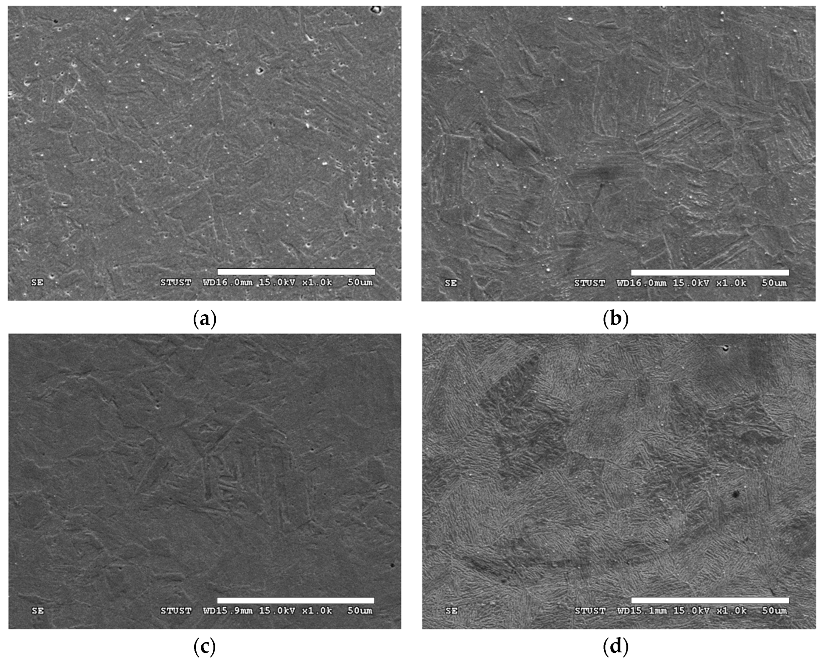 Materials 18 00574 g003 Materials 18 00574 g003