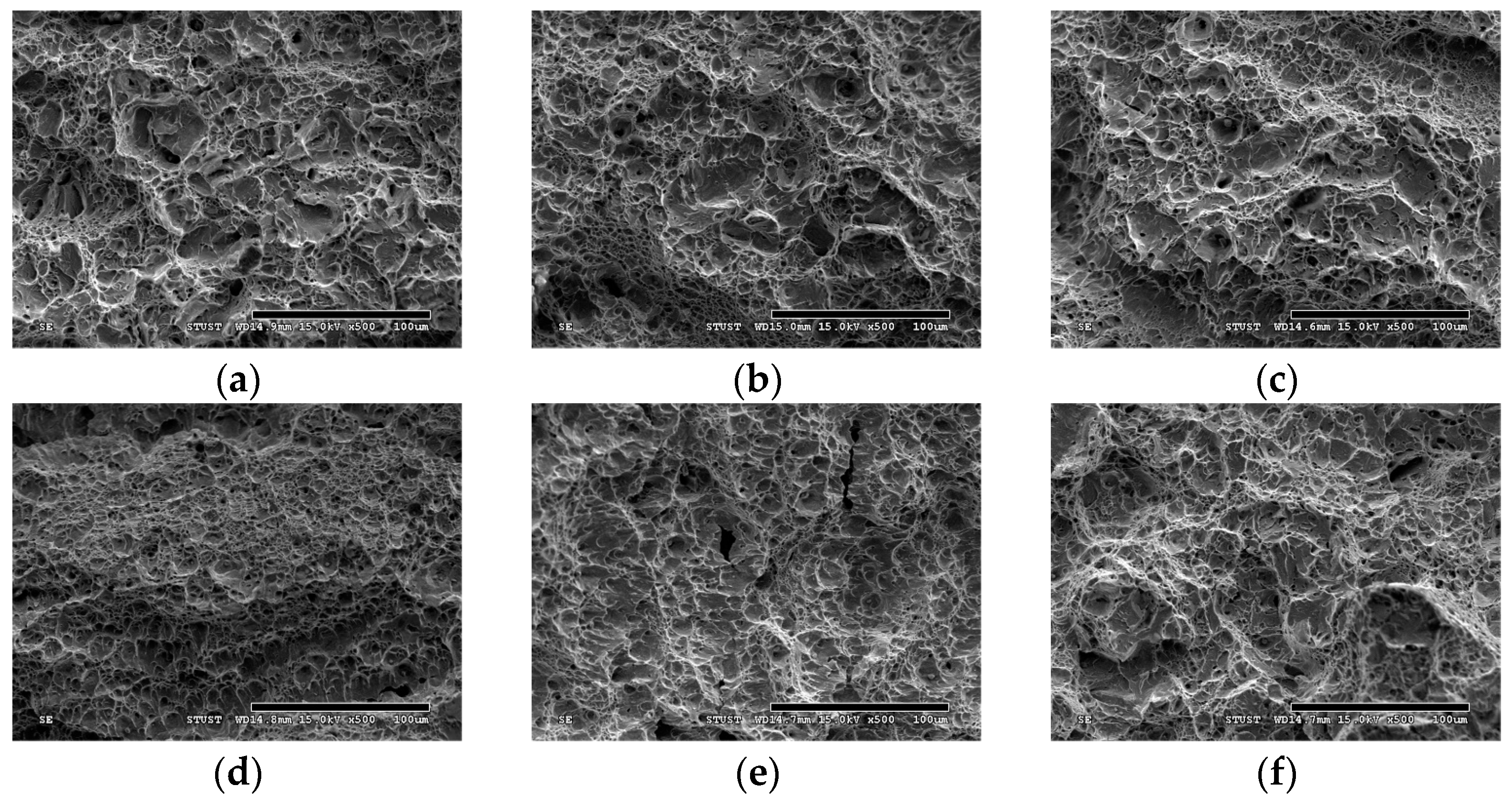 Materials 18 00574 g009 Materials 18 00574 g009