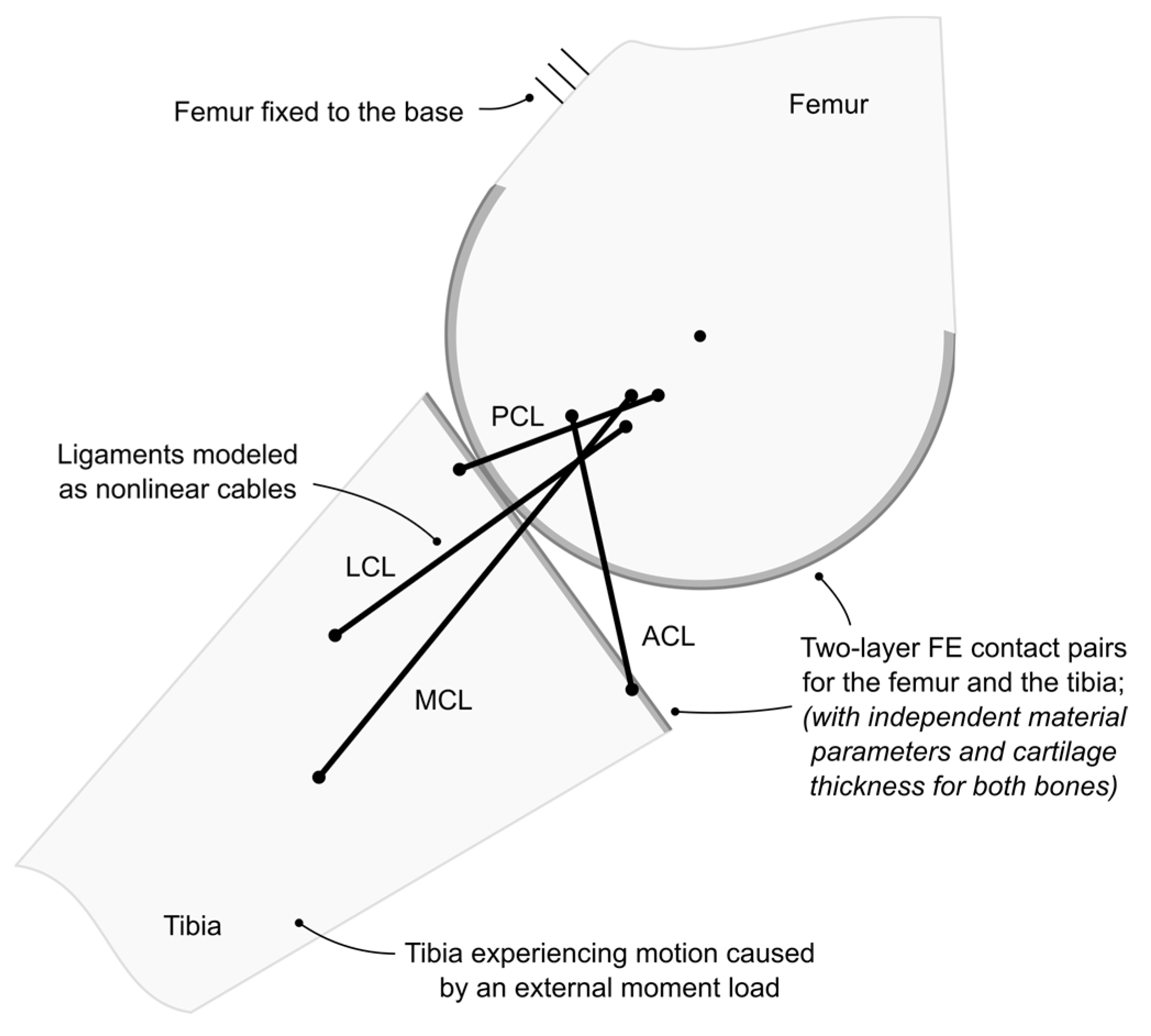 Materials 18 00576 g003