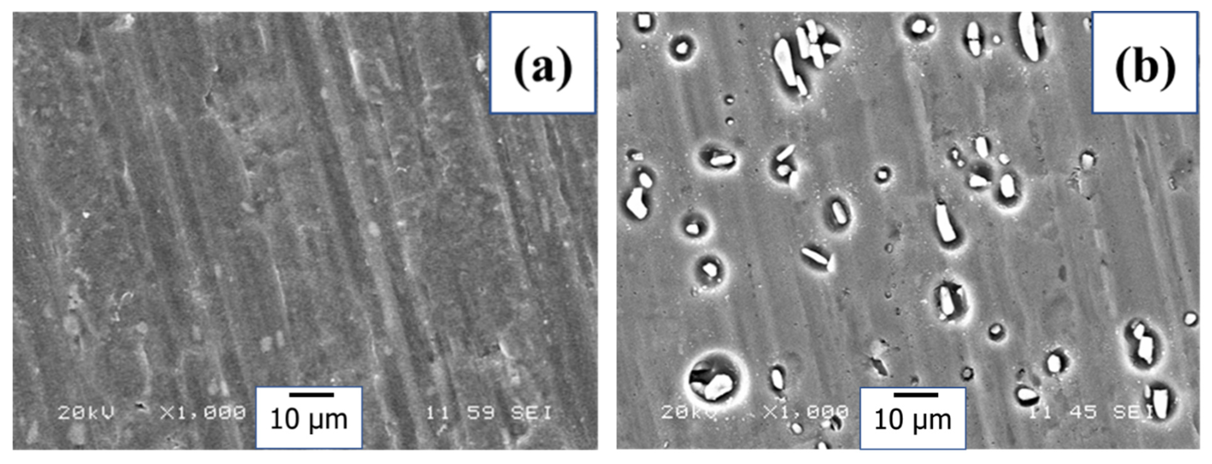 Materials 18 00595 g008a