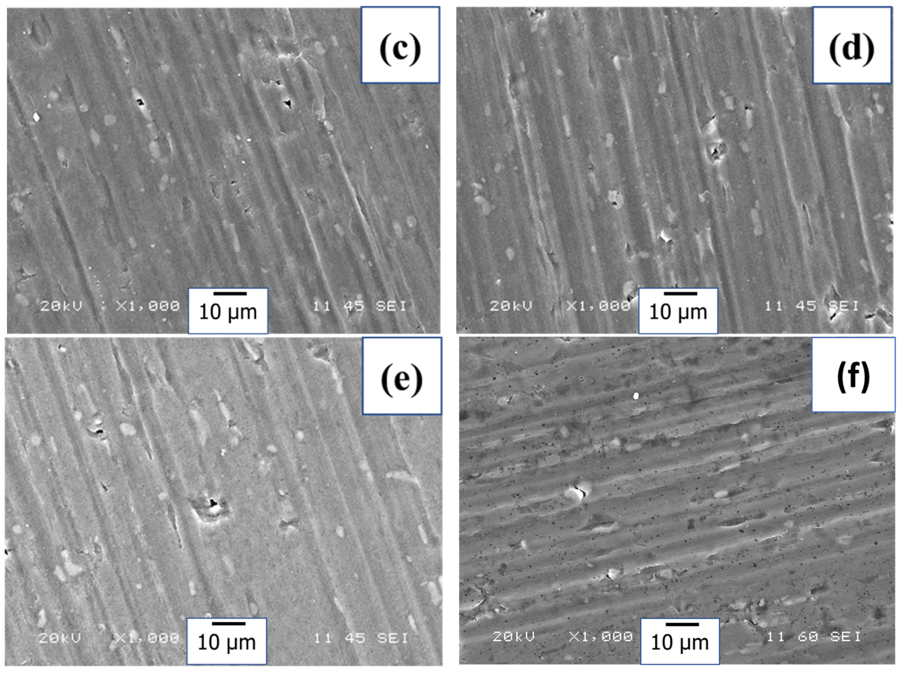 Materials 18 00595 g008b