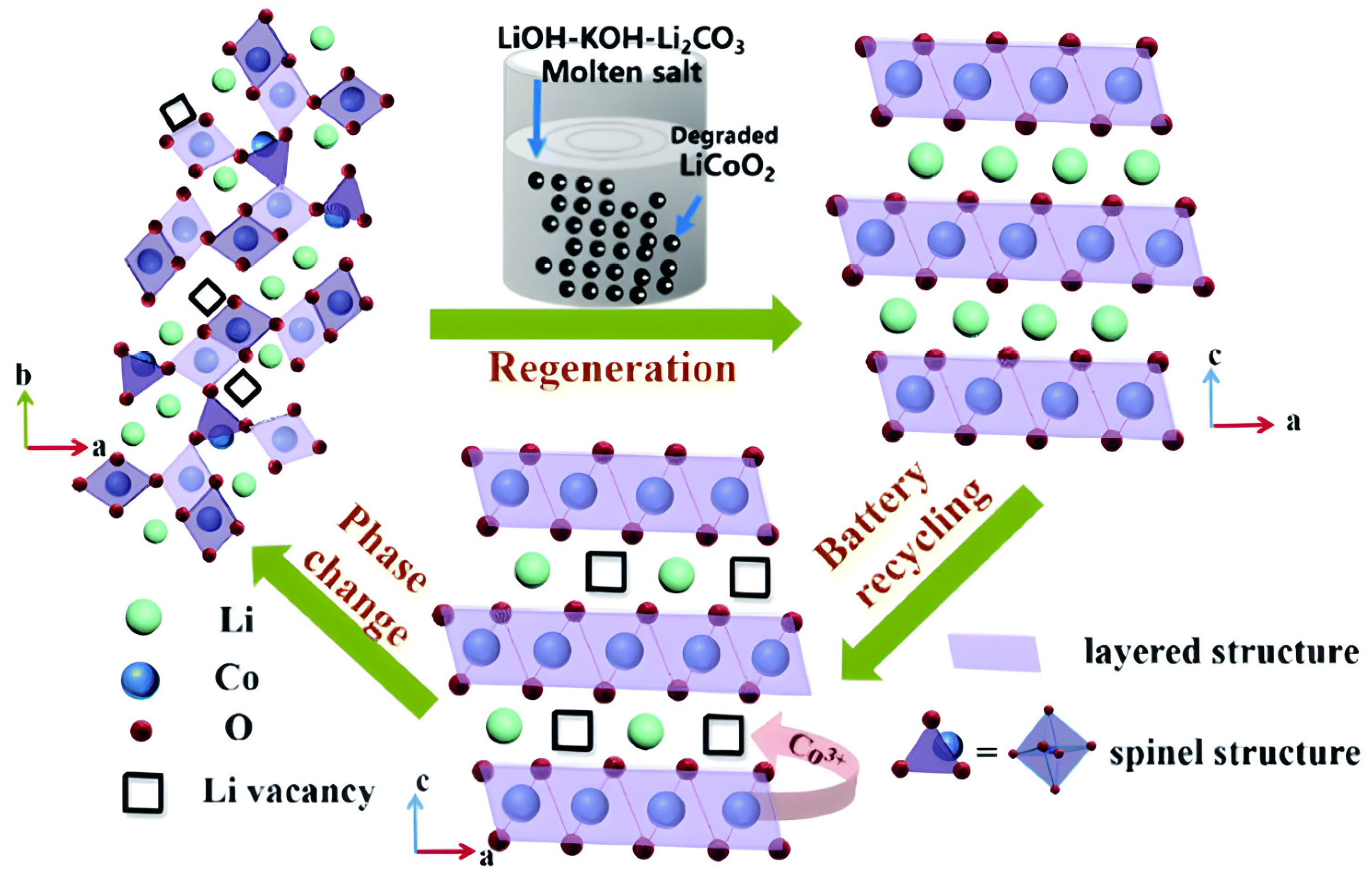 Materials 18 00613 g013