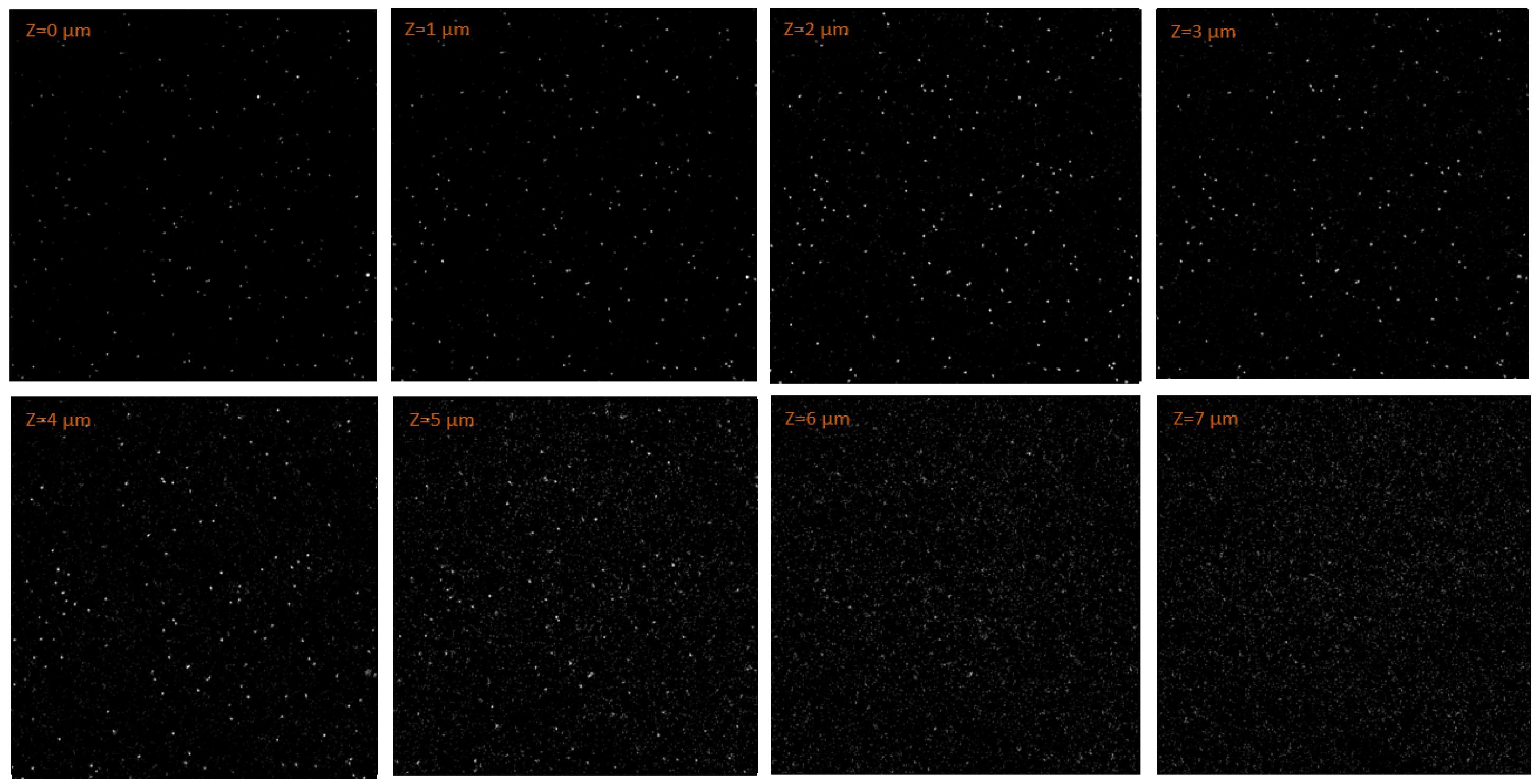 Materials 18 00621 g006