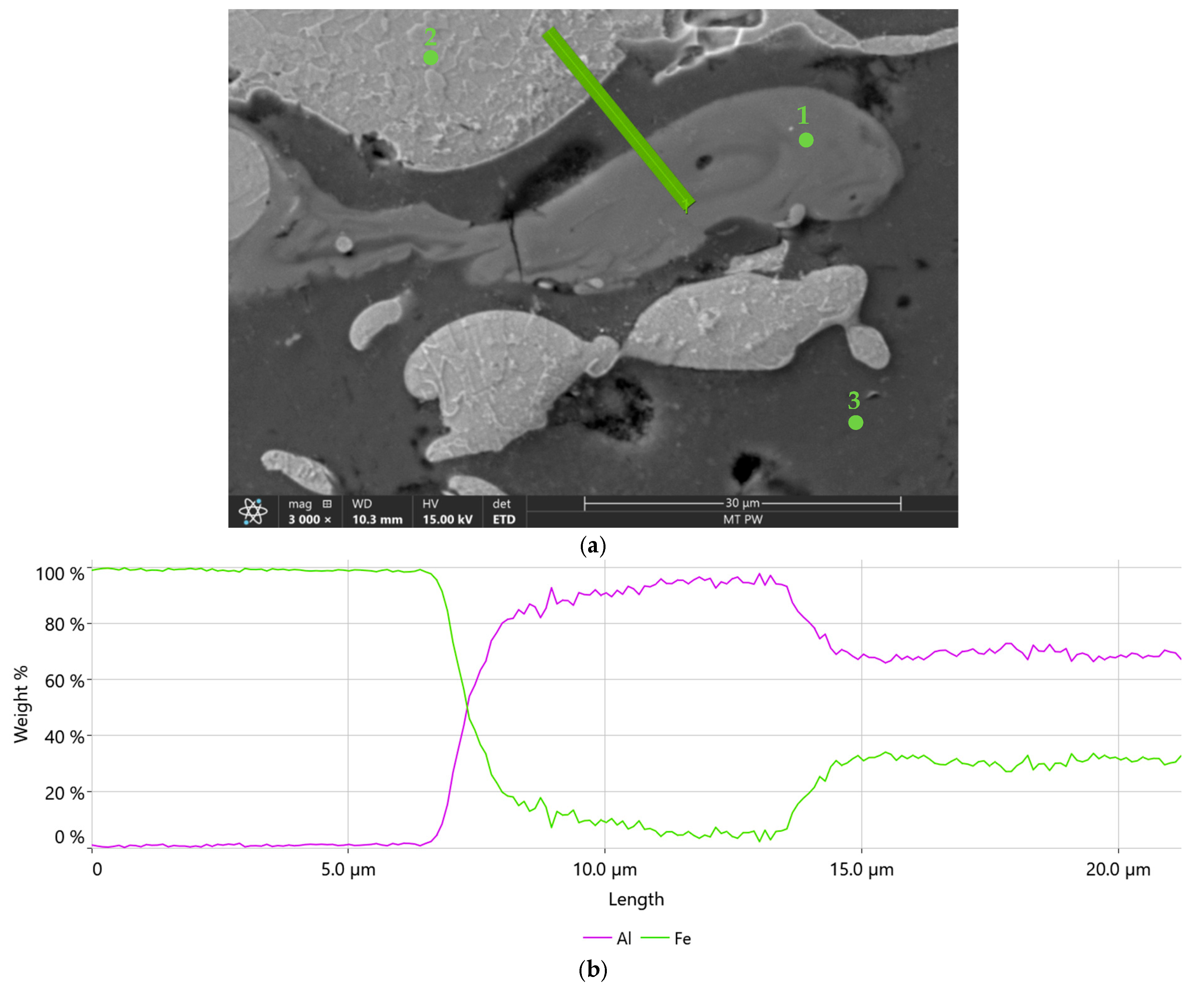 Materials 18 00646 g010