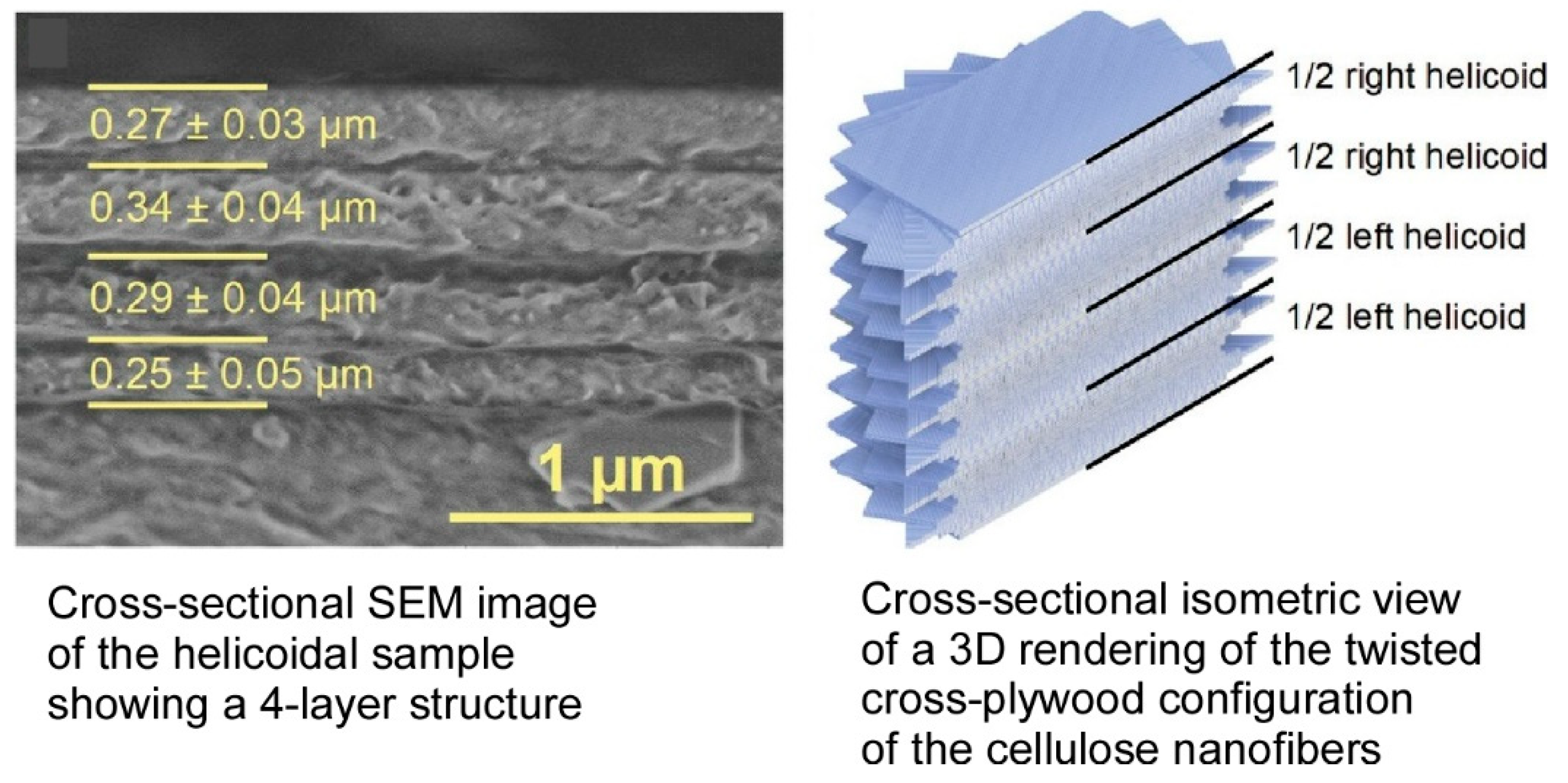 Materials 18 00654 g018