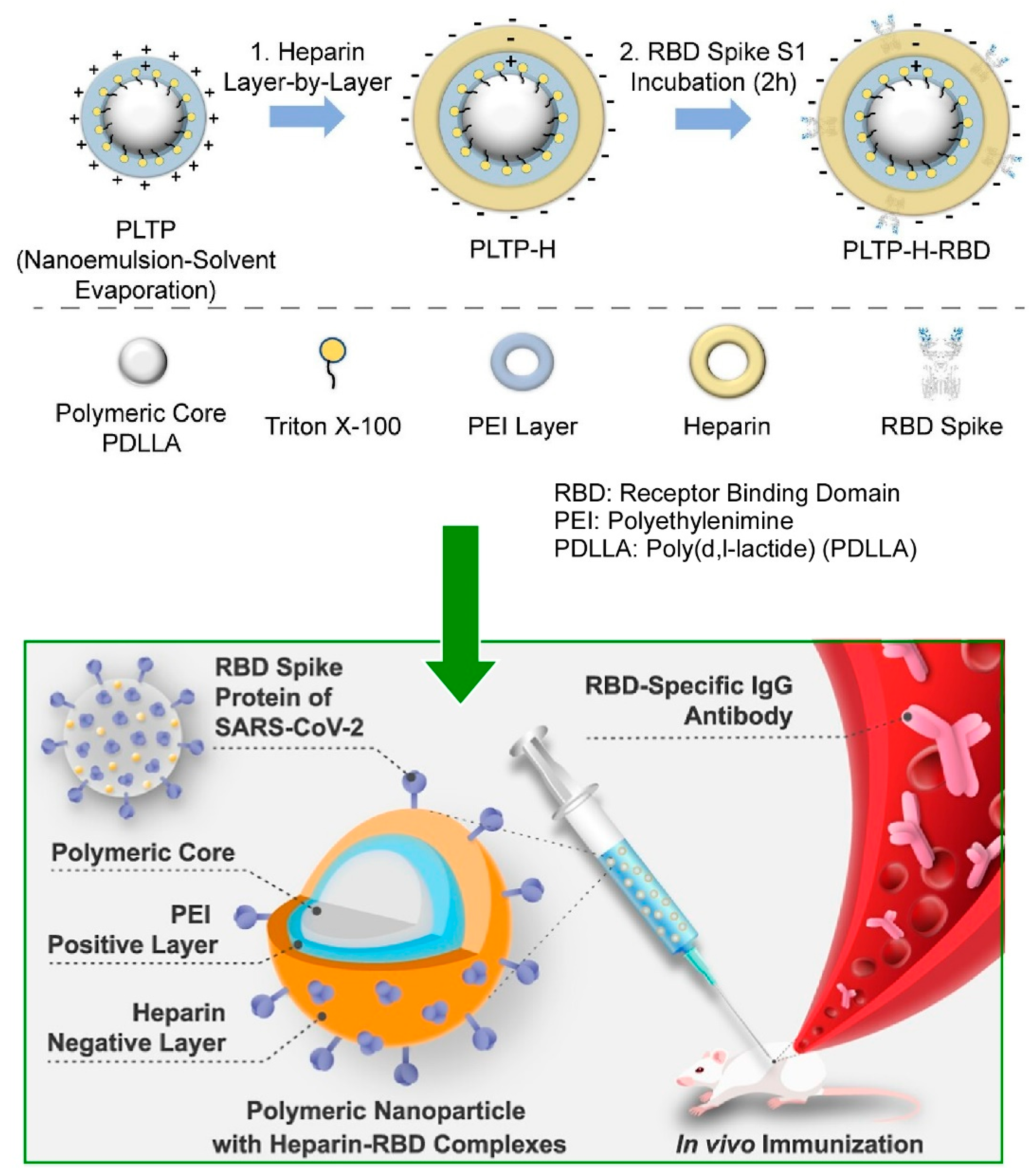 Materials 18 00654 g020