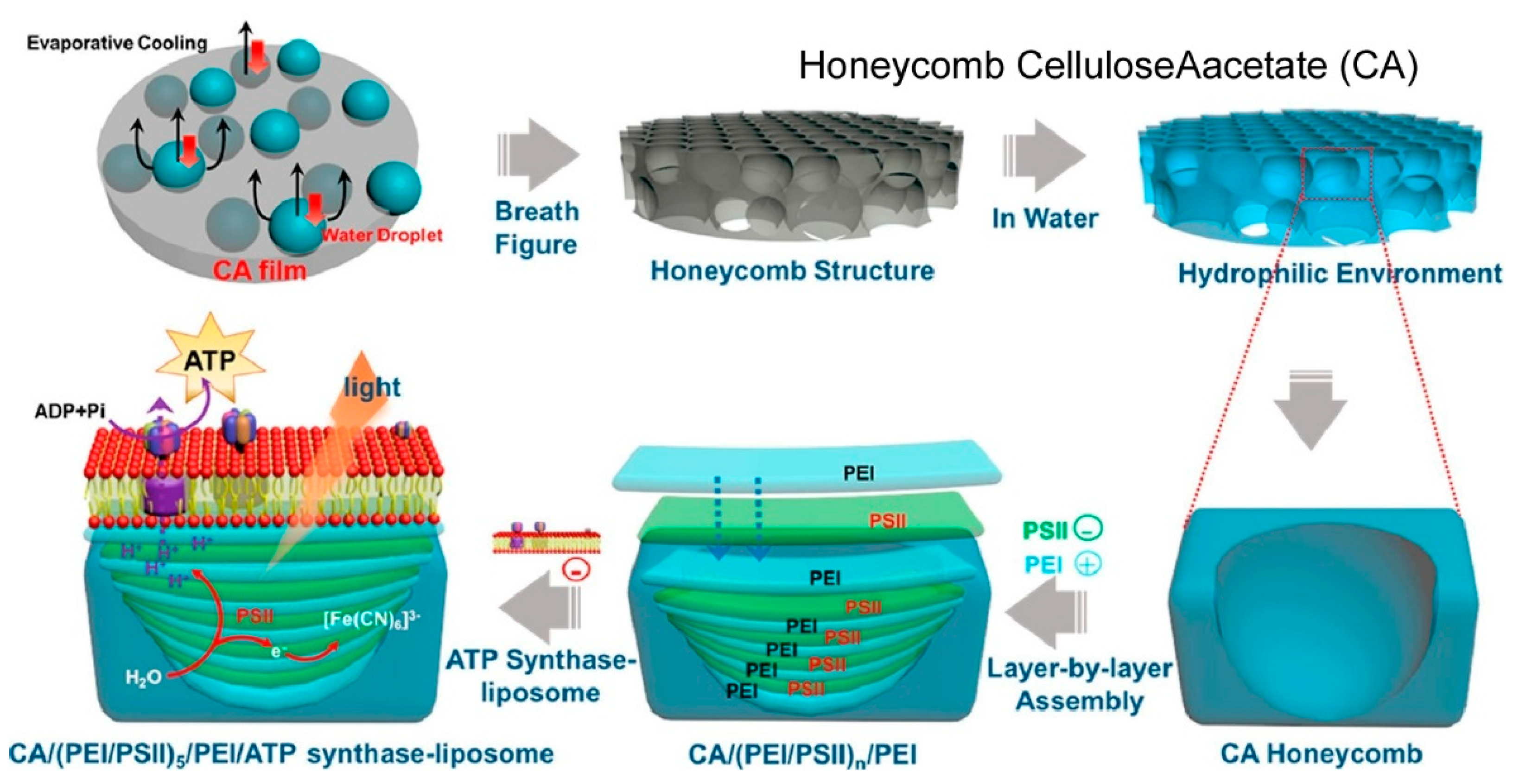 Materials 18 00654 g022