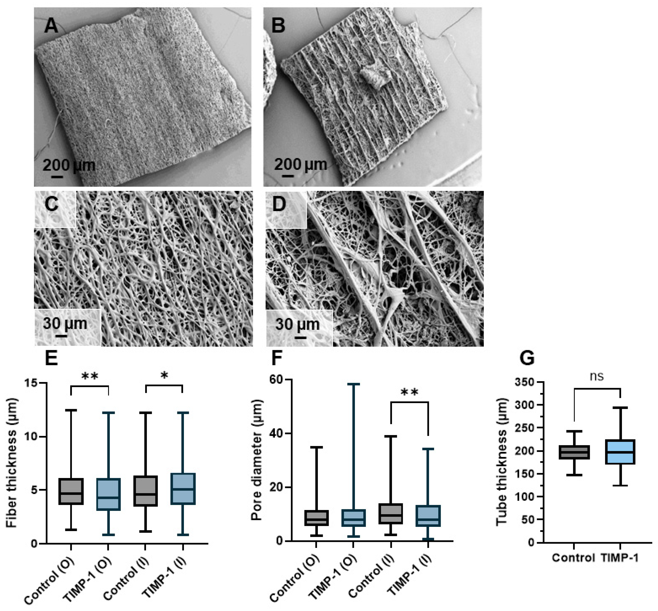 Materials 18 00665 g003