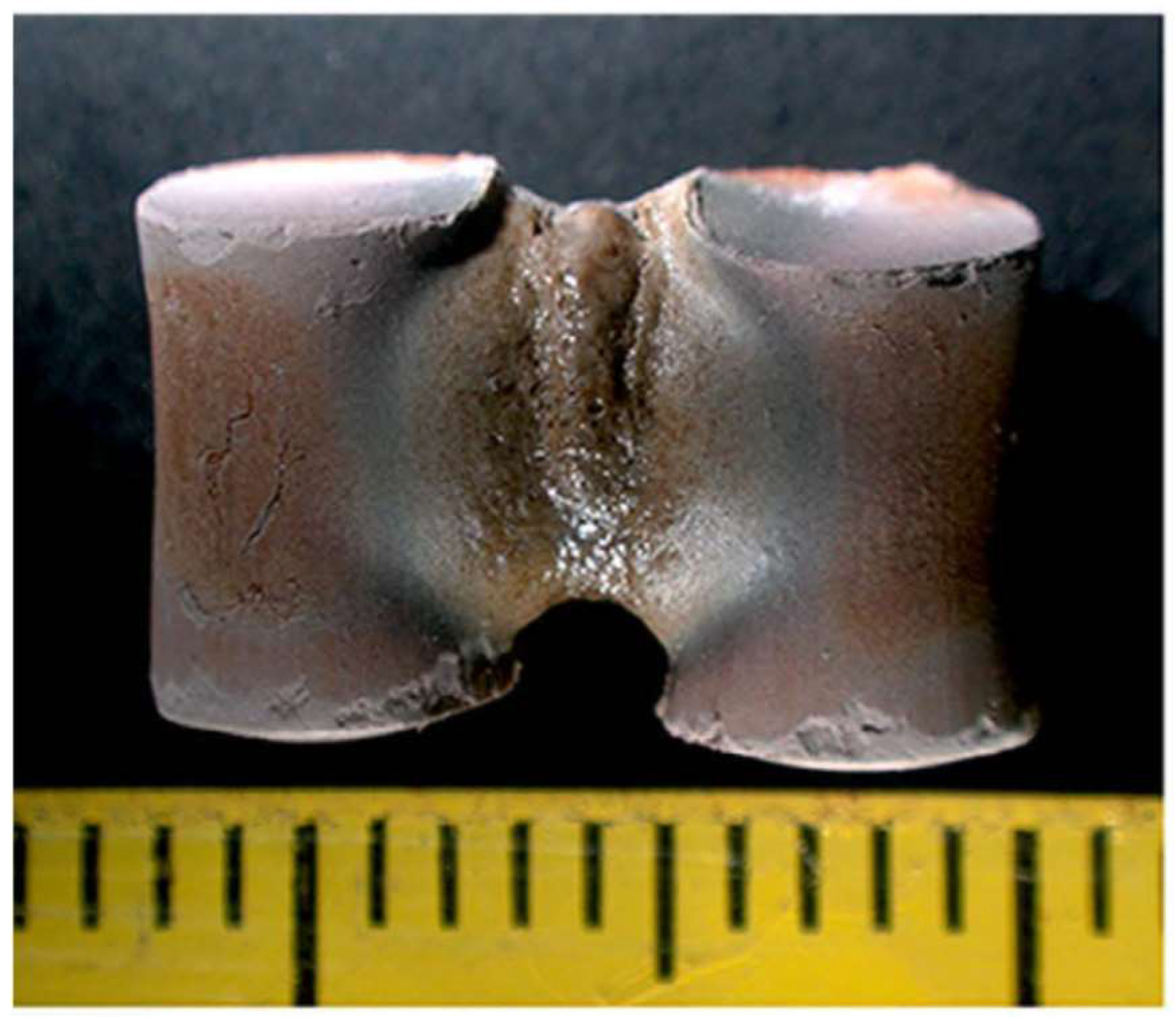 Materials 18 00668 g019
