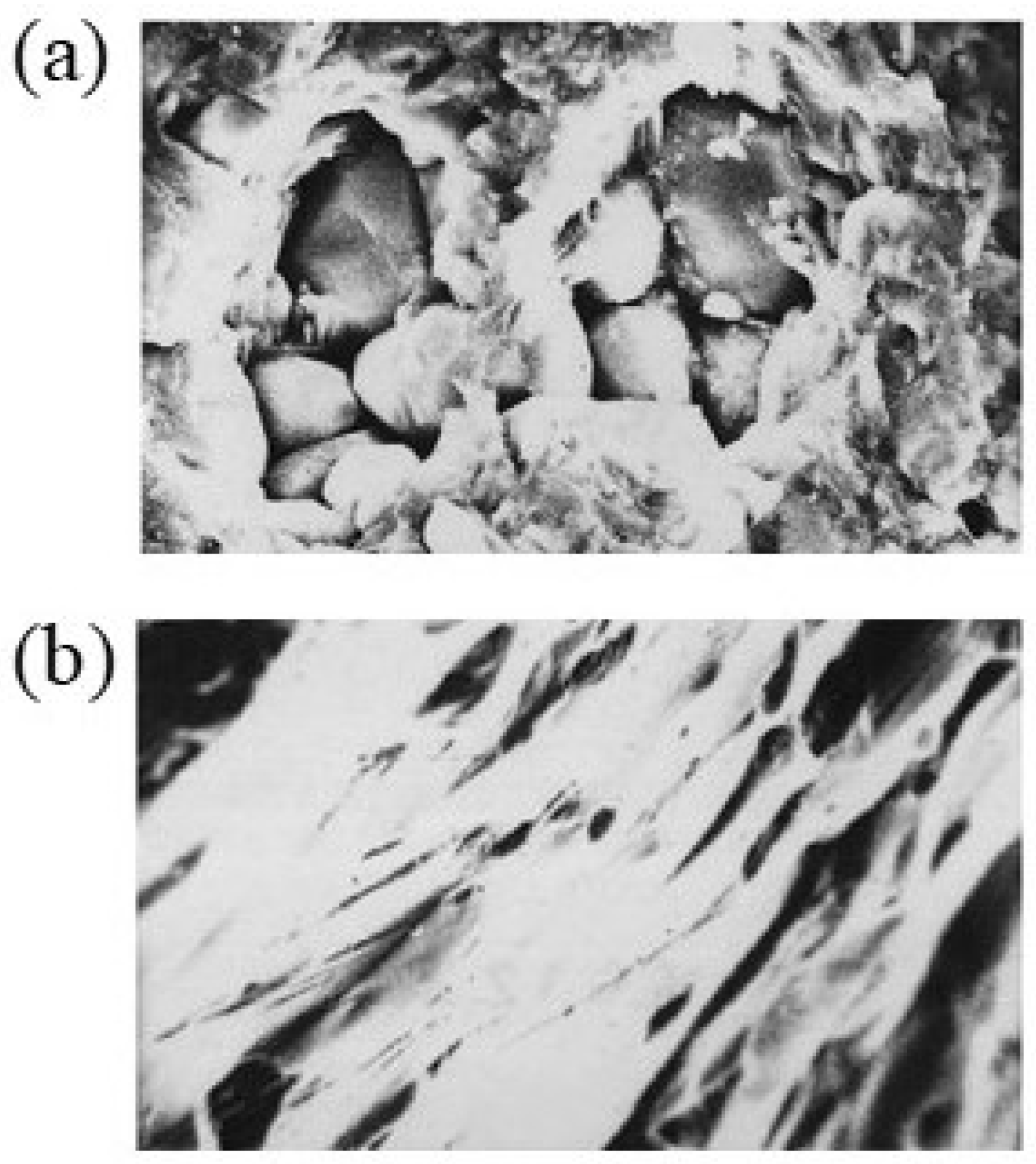 Materials 18 00668 g025