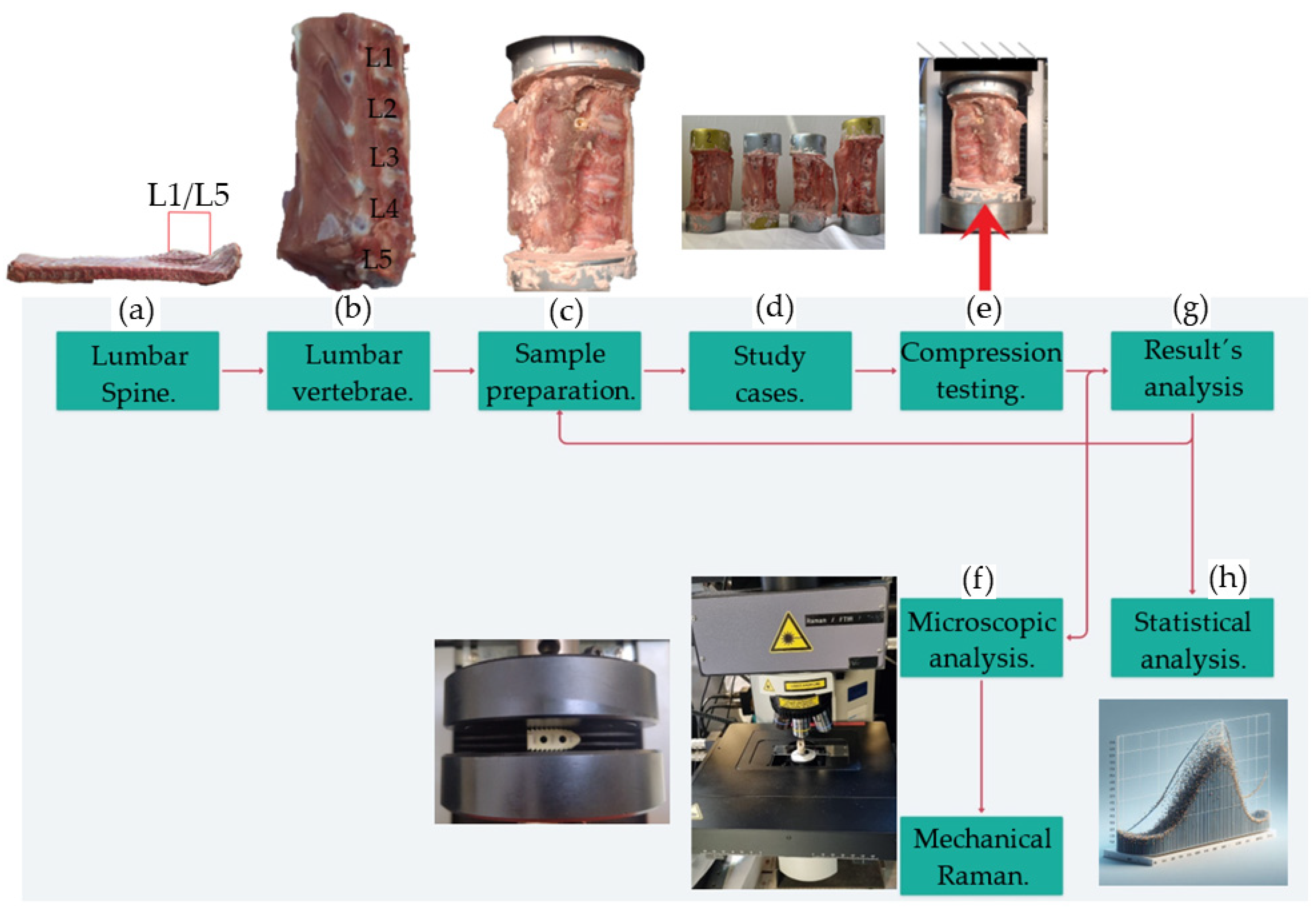 Materials 18 00679 g001