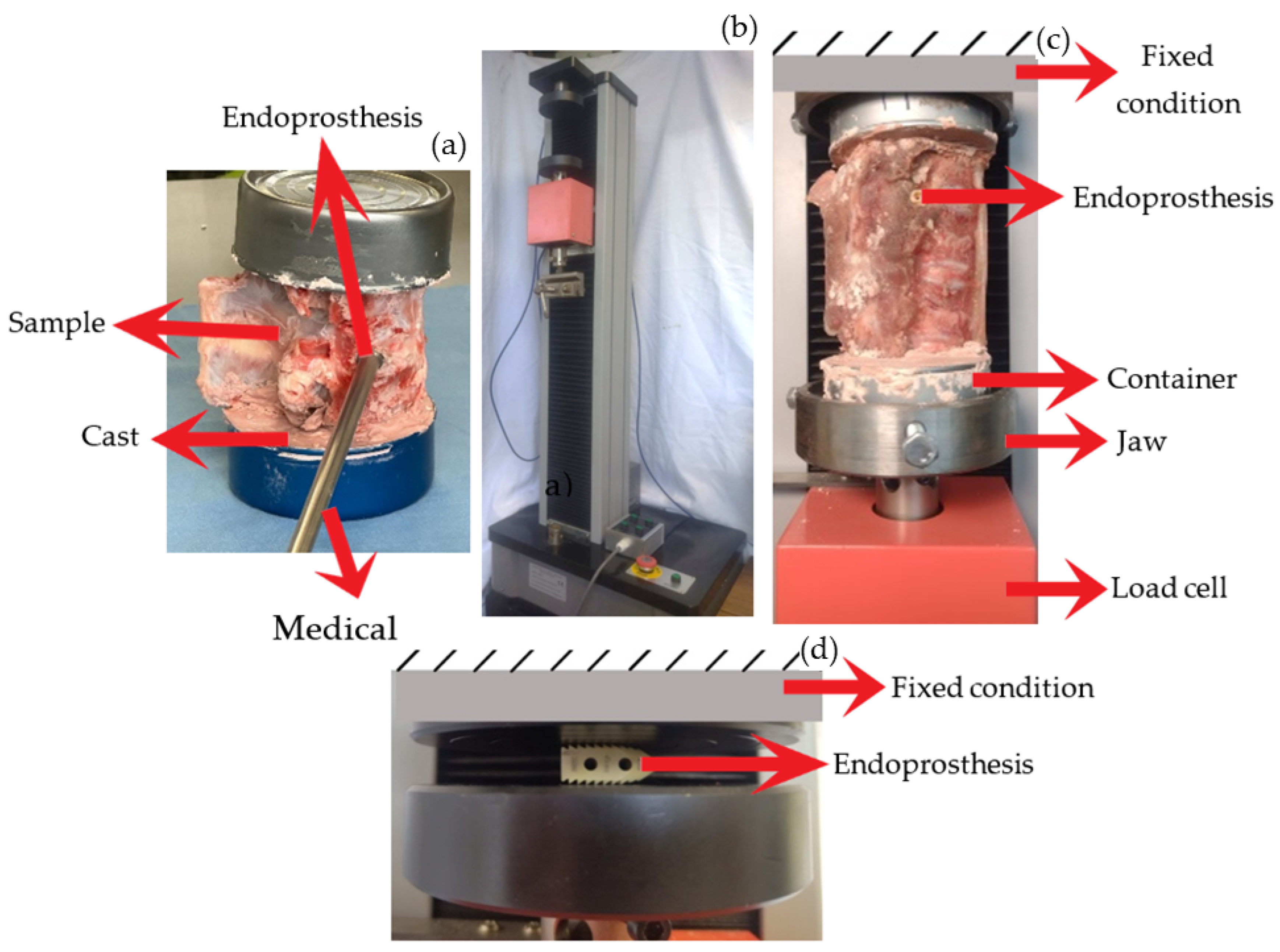 Materials 18 00679 g003