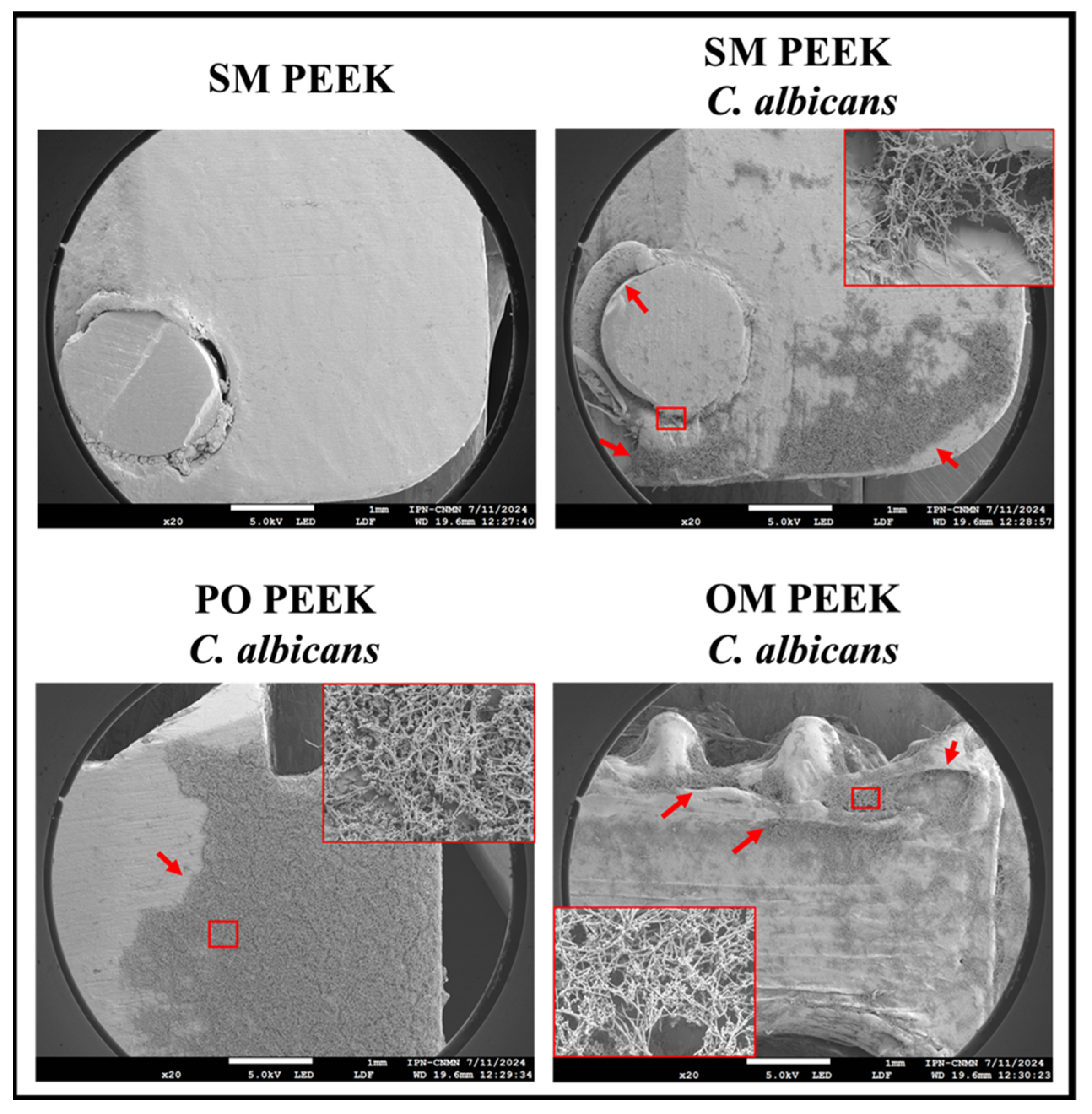 Materials 18 00679 g008