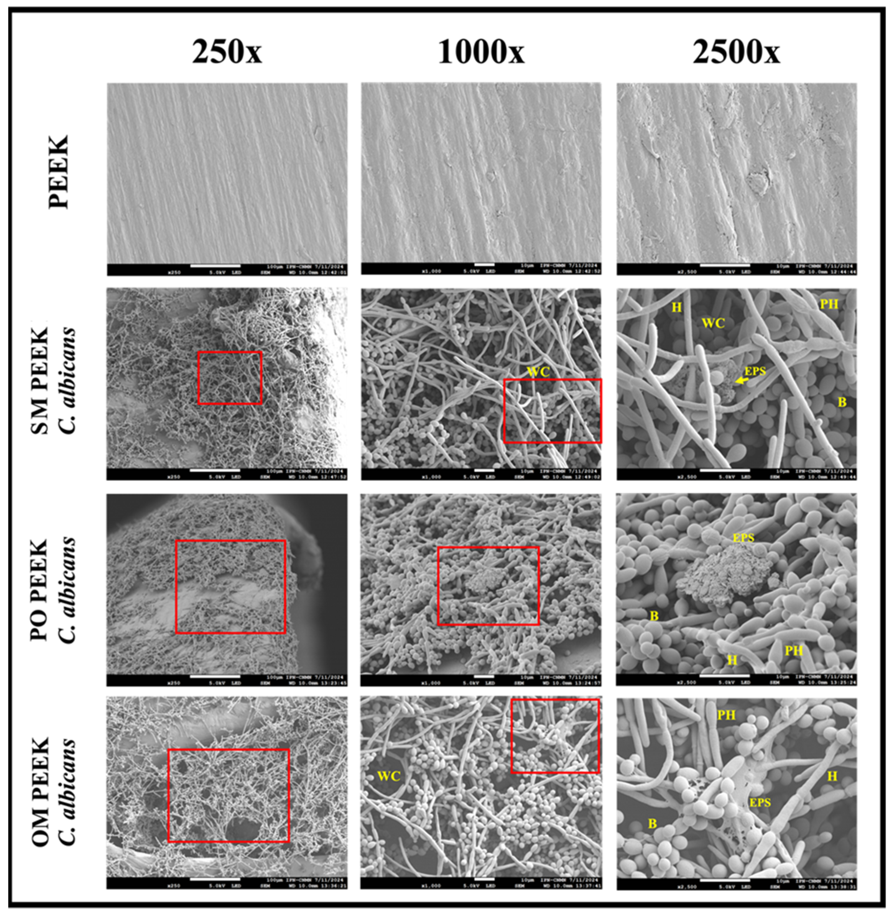 Materials 18 00679 g009