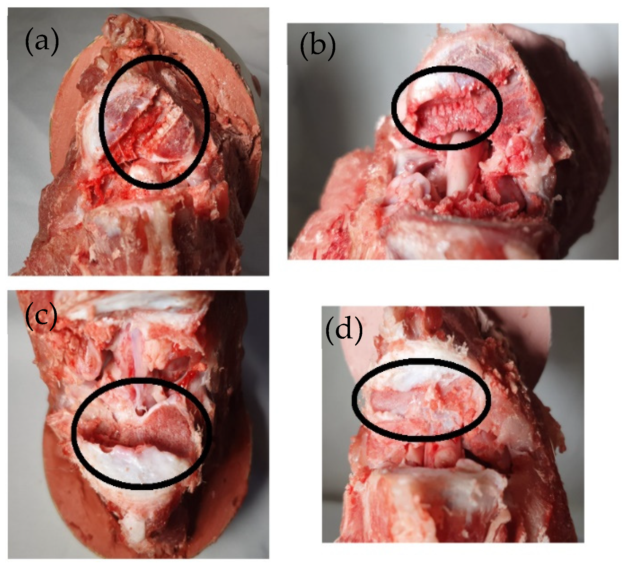 Materials 18 00679 g010
