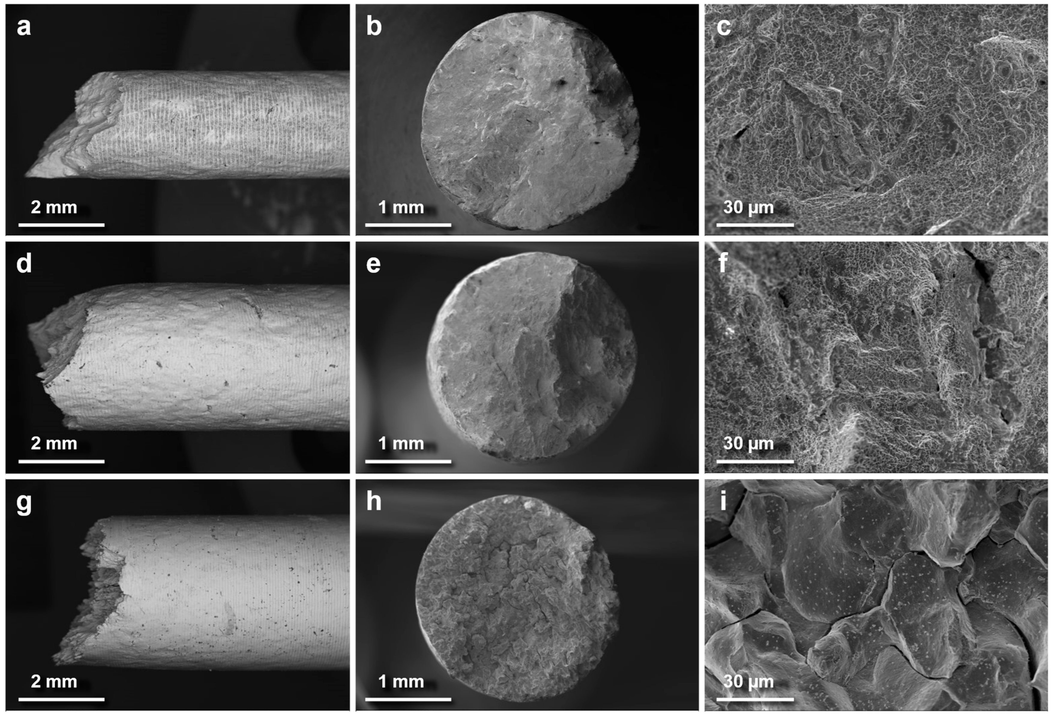 Materials 18 00692 g005