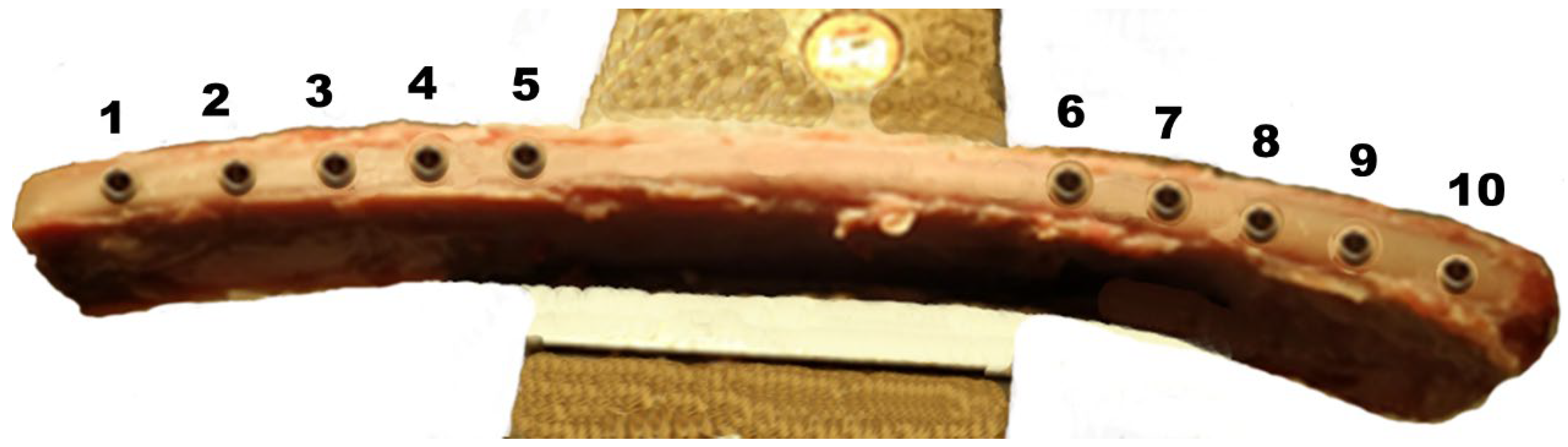 Materials 18 00700 g003