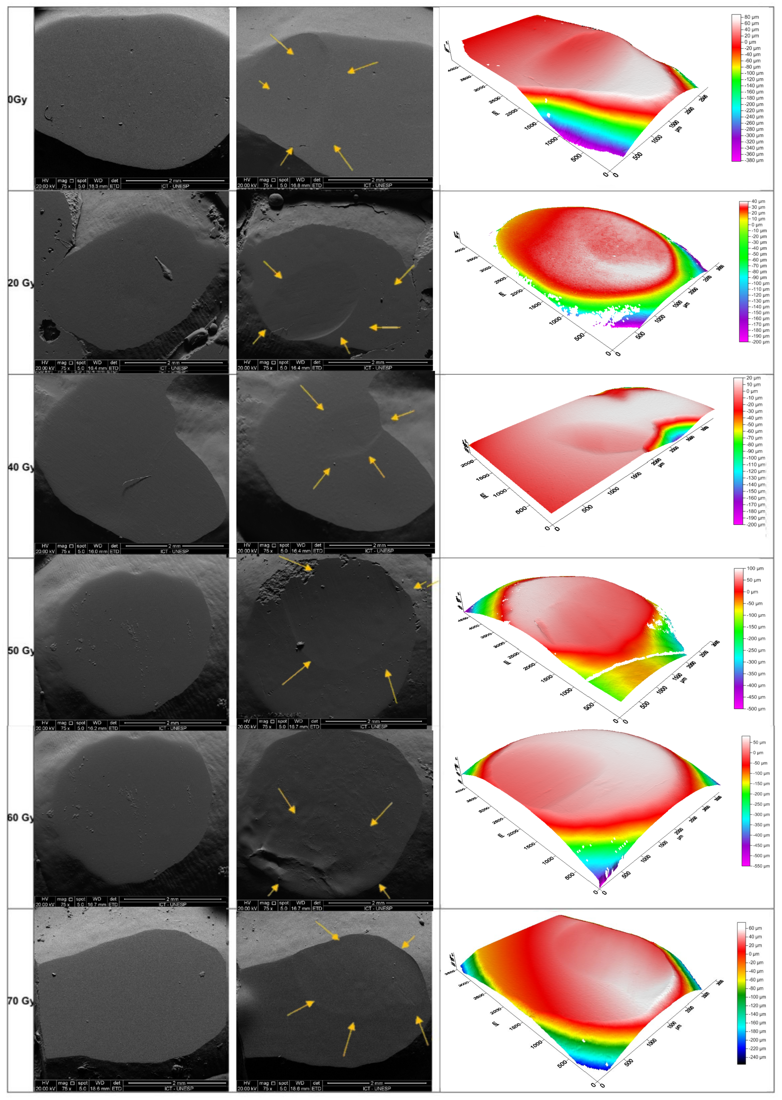 Materials 18 00702 g001