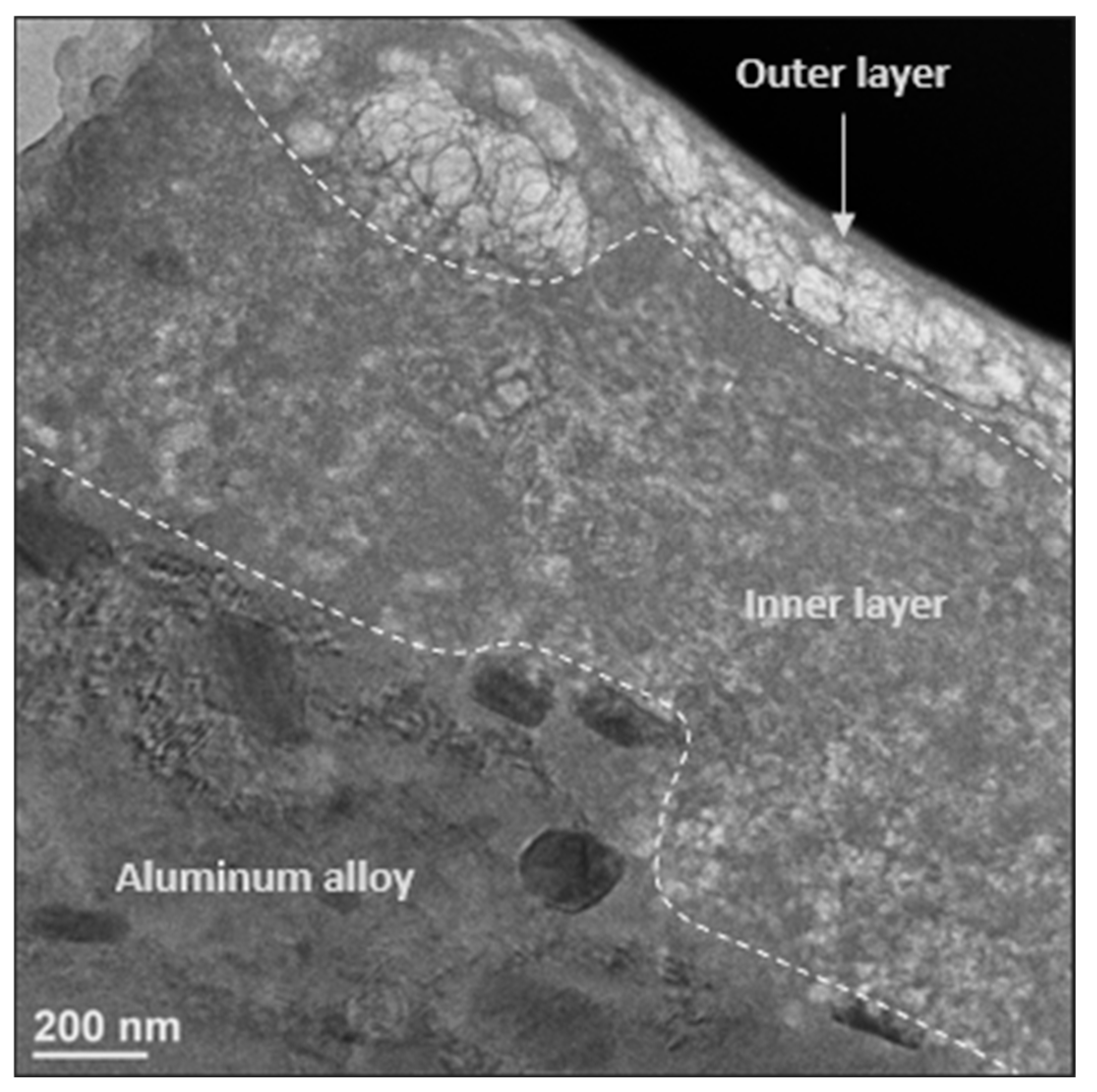 Materials 18 00708 g009