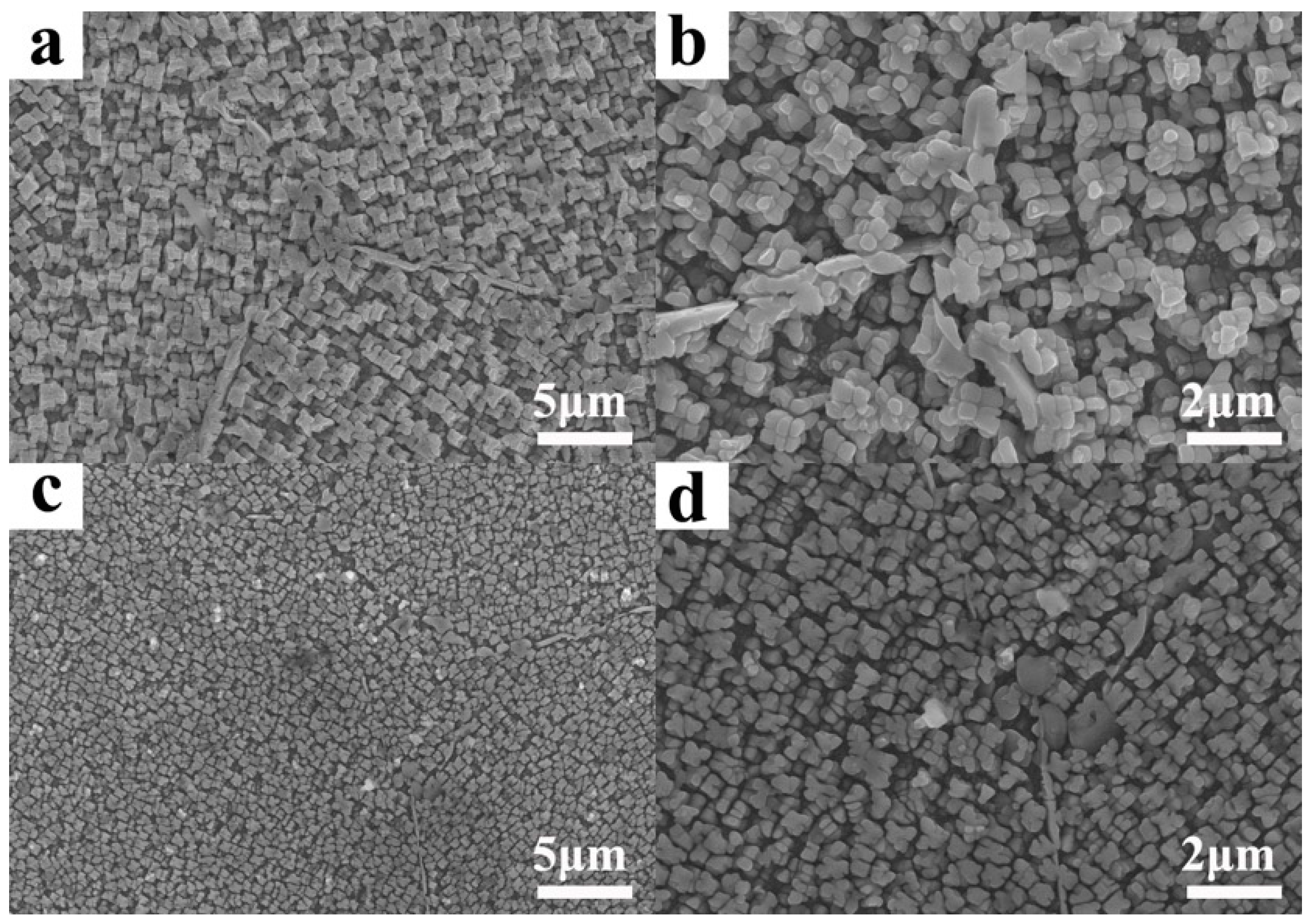 Materials 18 00710 g005