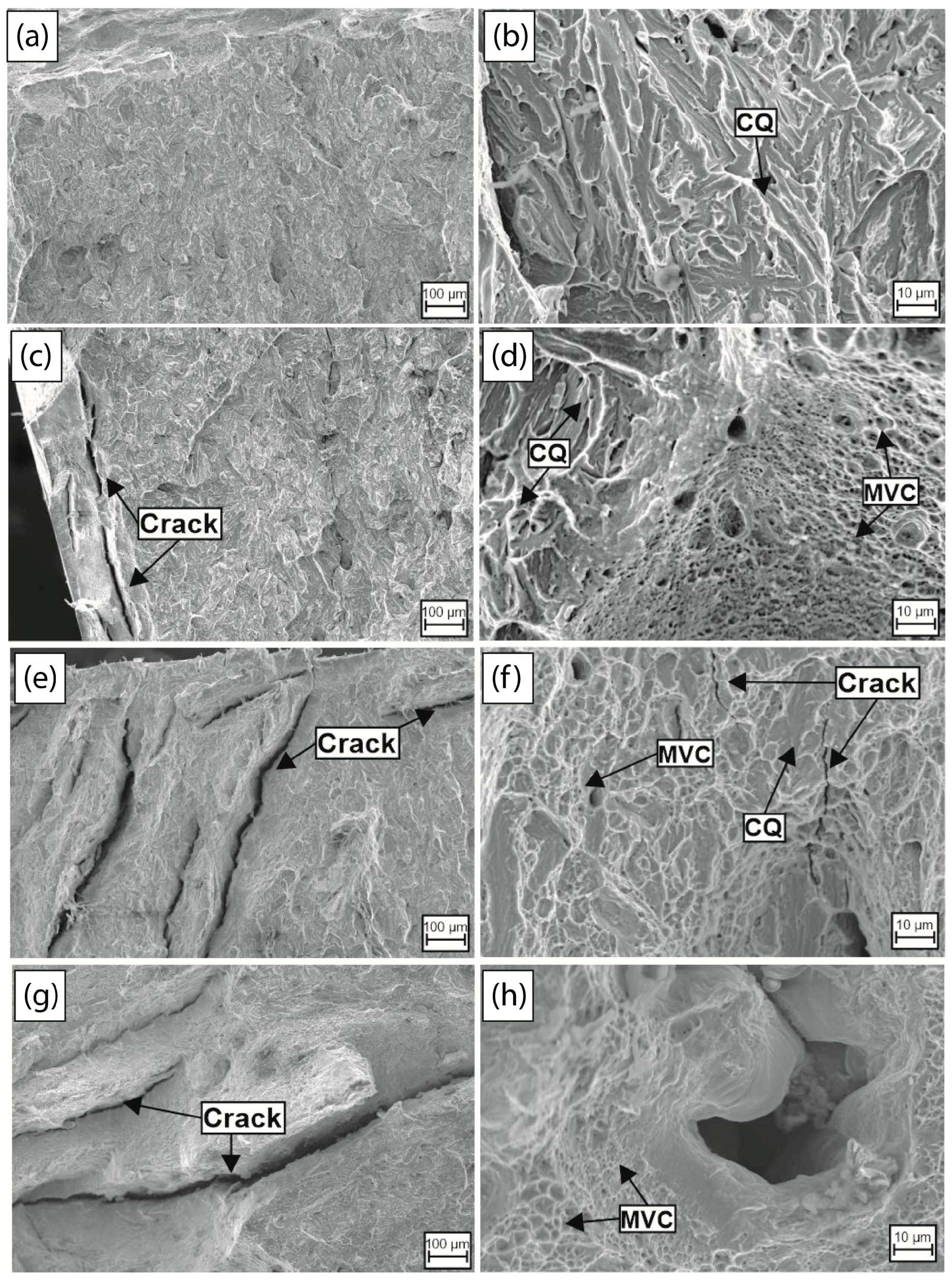 Materials 18 00764 g008 Materials 18 00764 g008