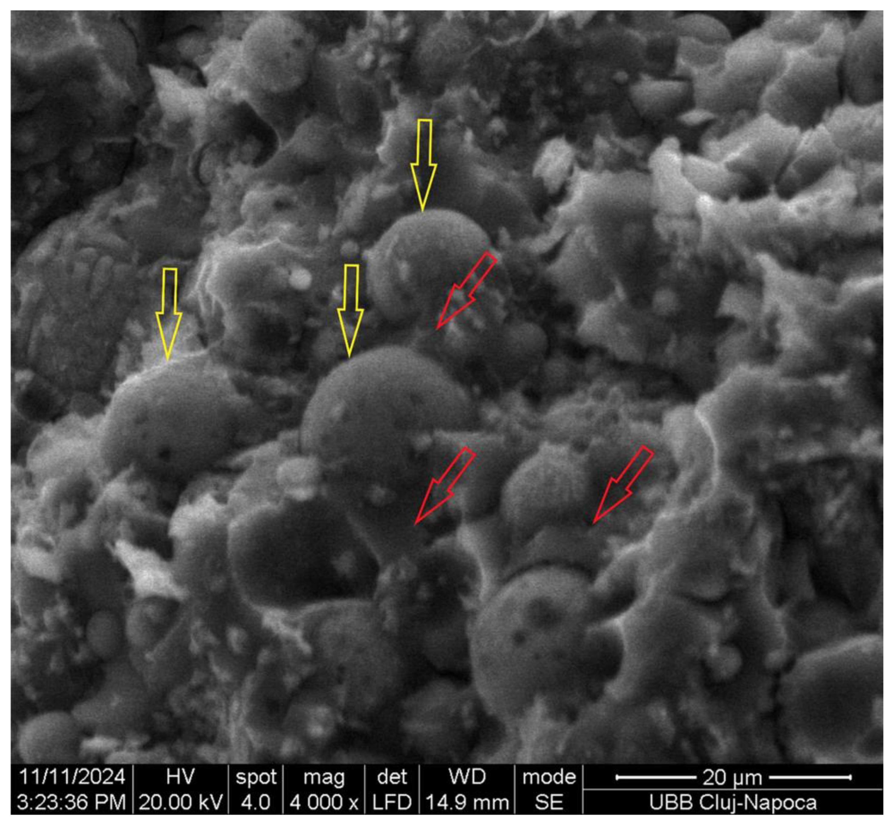 Materials 18 00778 g003