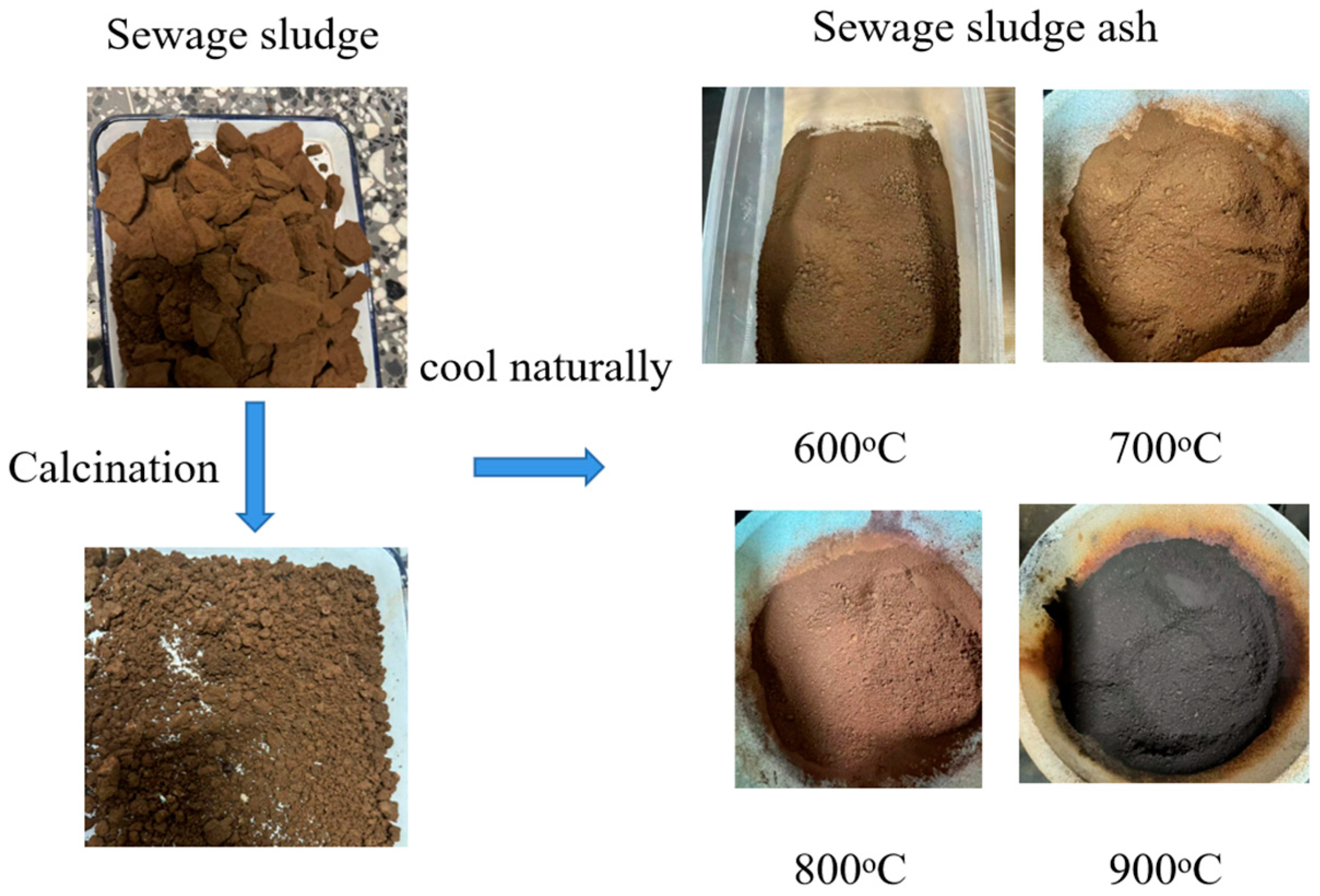 Materials 18 00782 g001