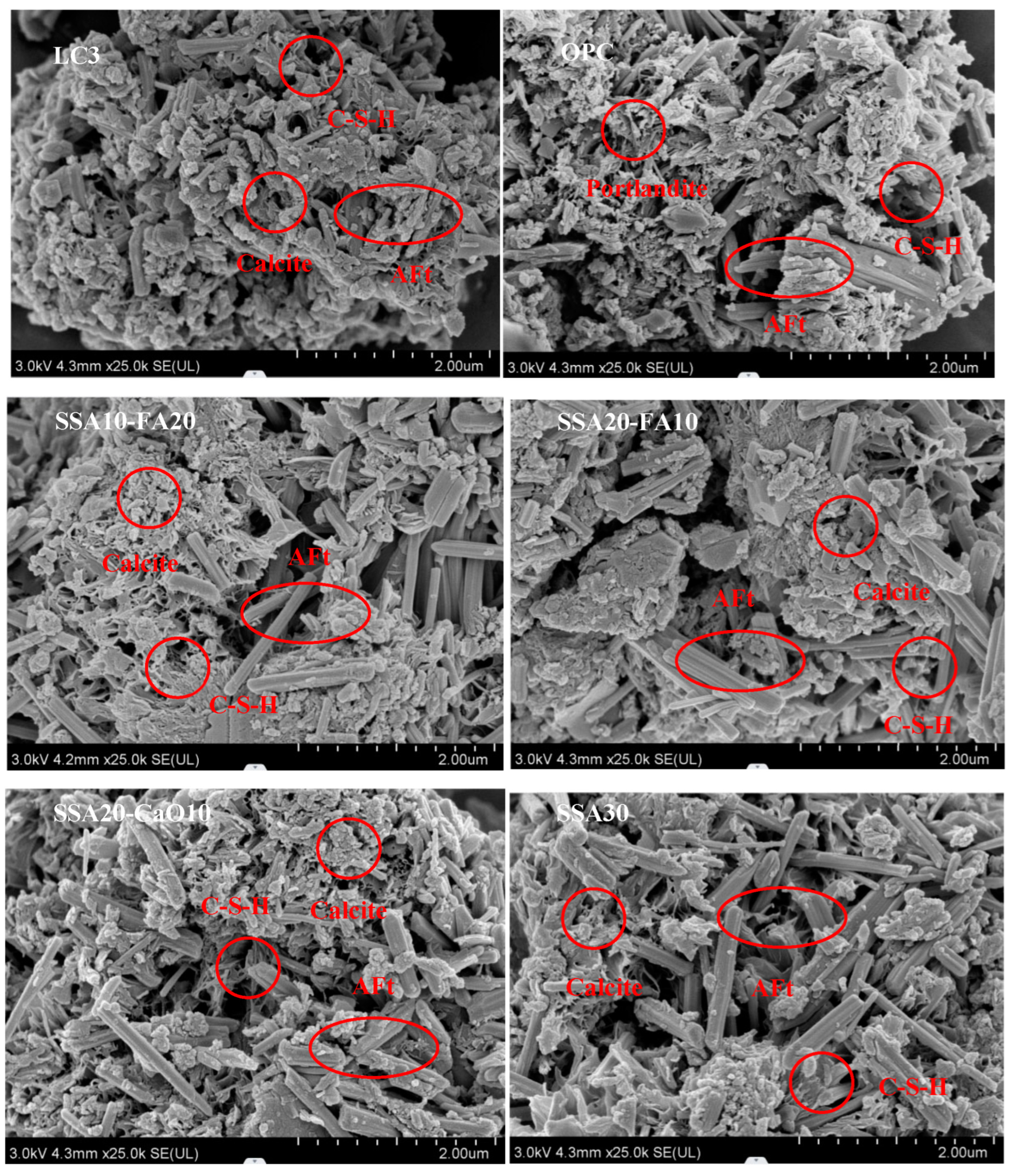 Materials 18 00782 g007