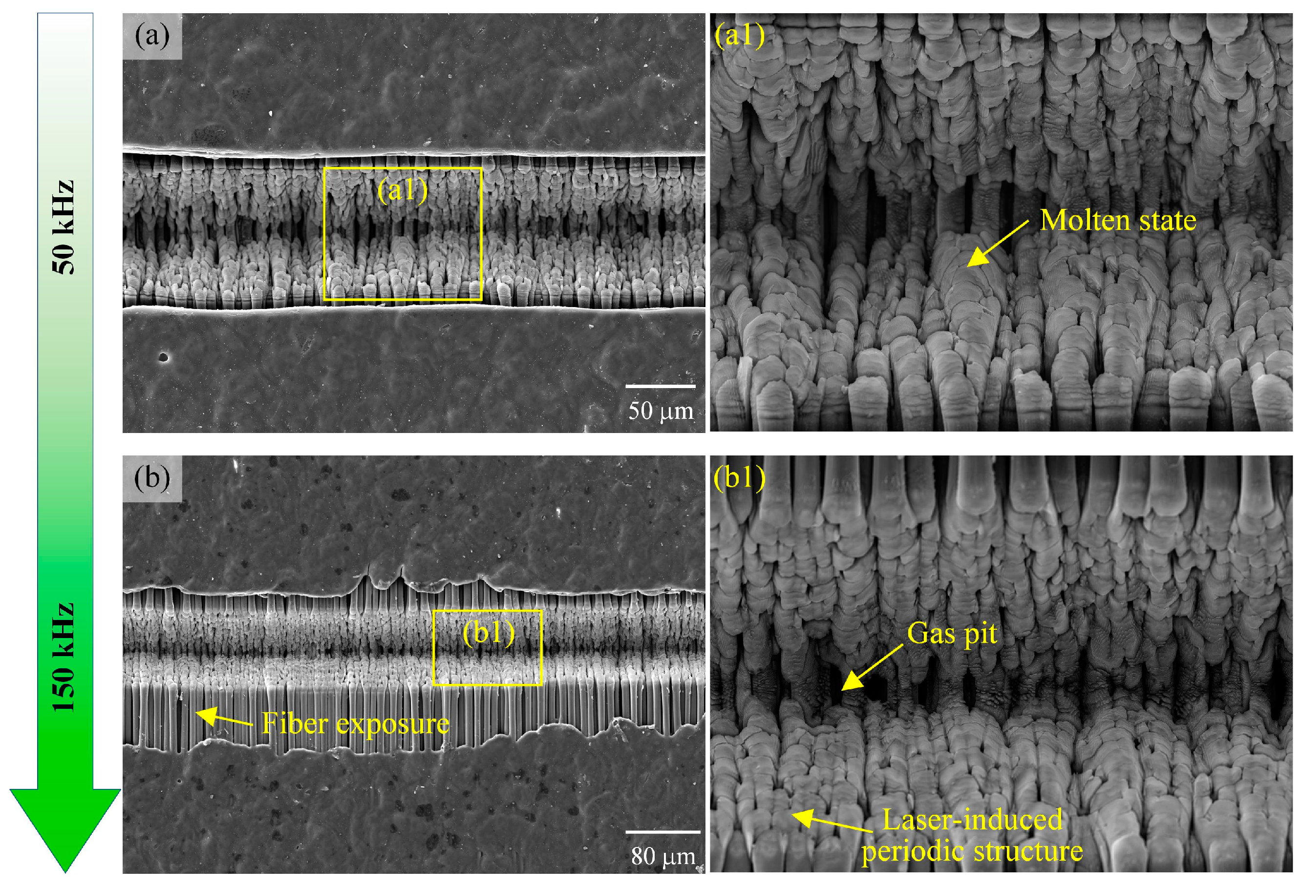 Materials 18 00790 g016