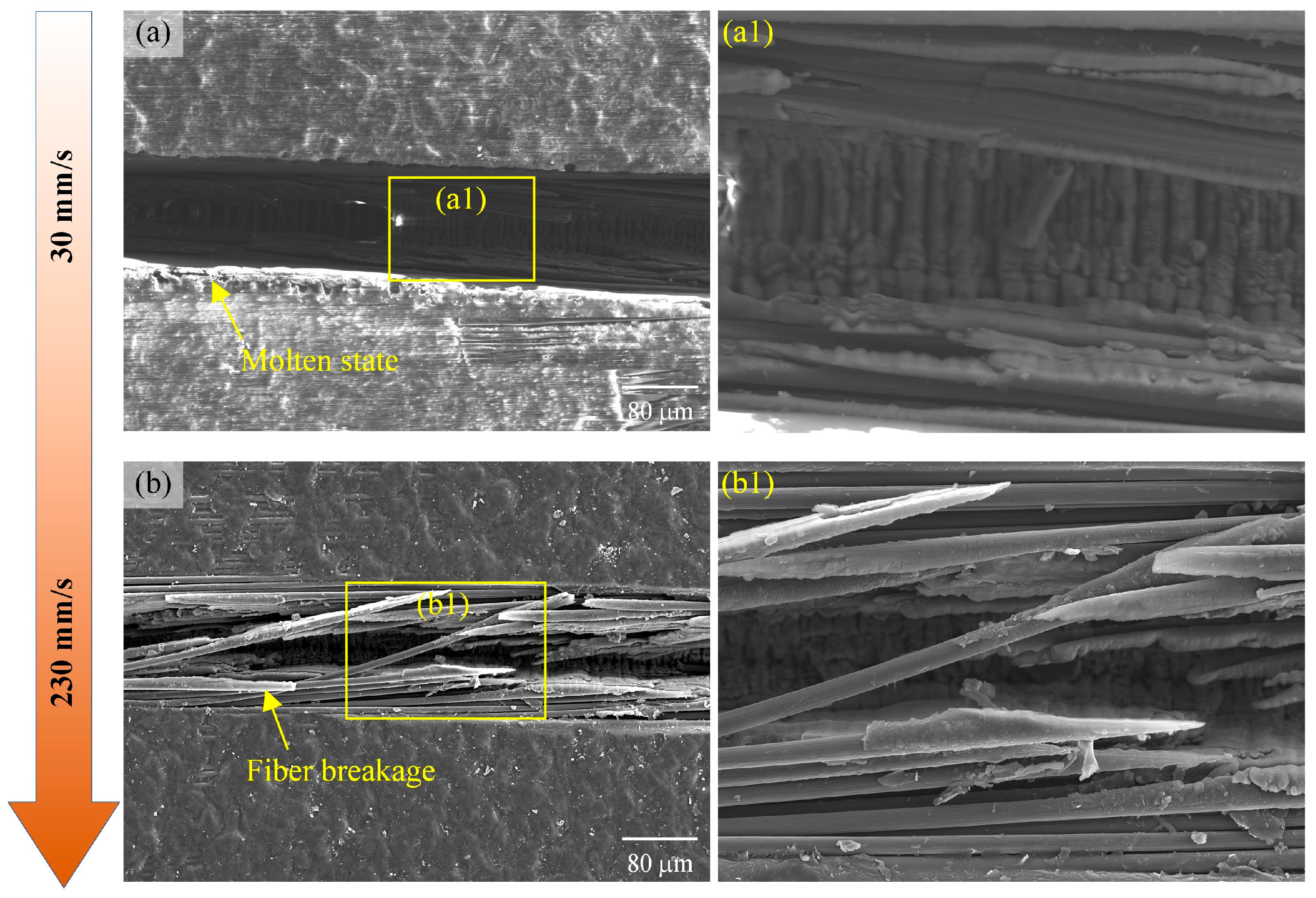 Materials 18 00790 g017