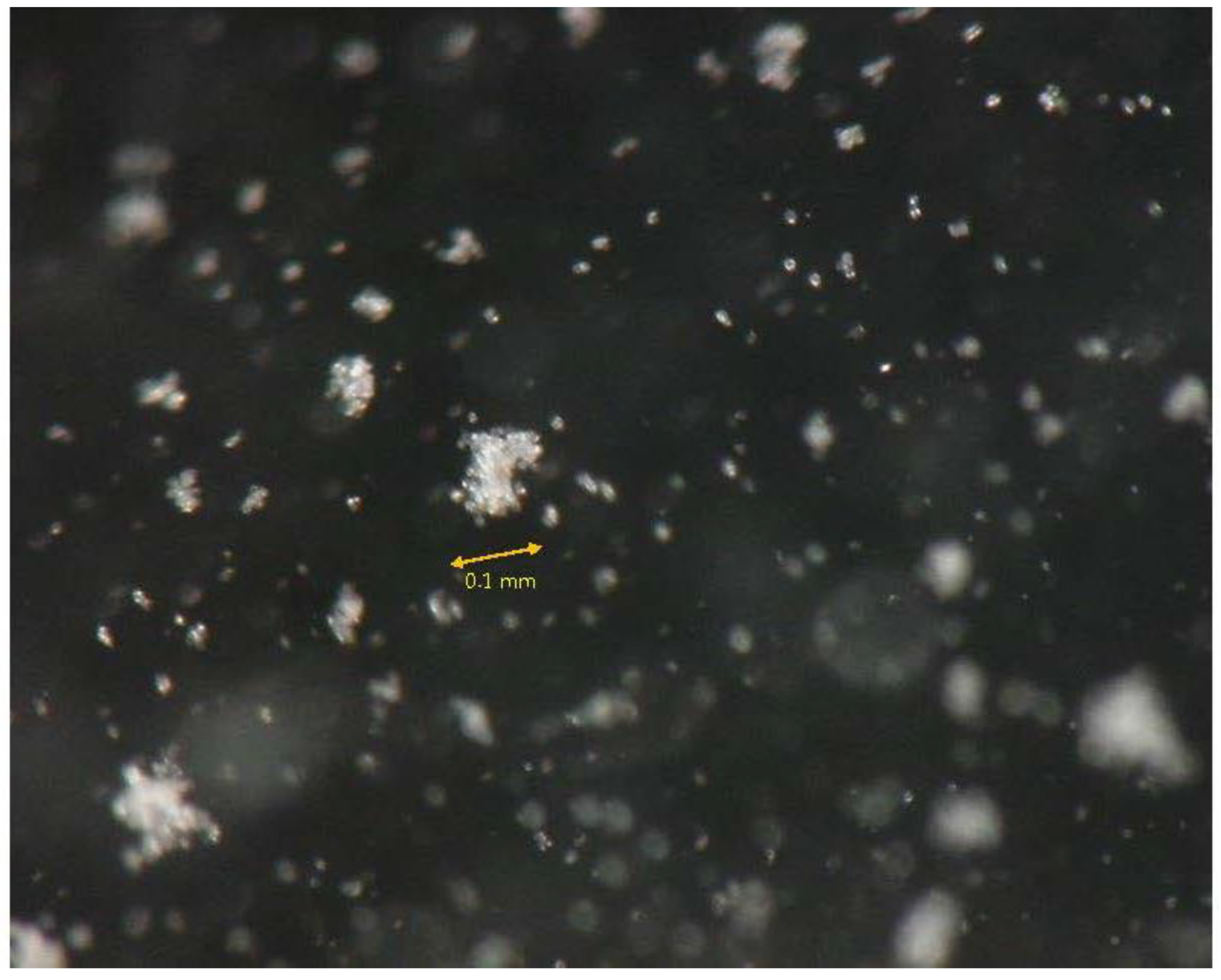 Materials 18 00809 g011 Materials 18 00809 g011