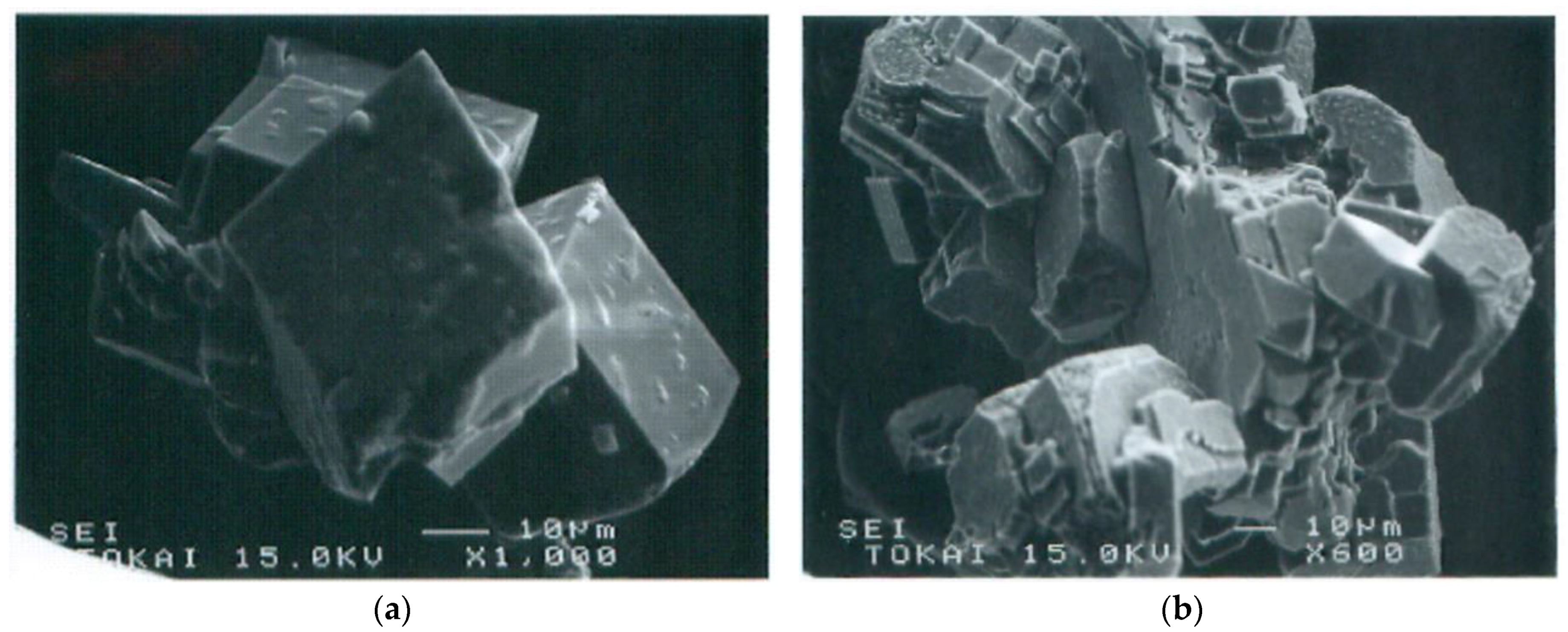 Materials 18 00809 g013 Materials 18 00809 g013