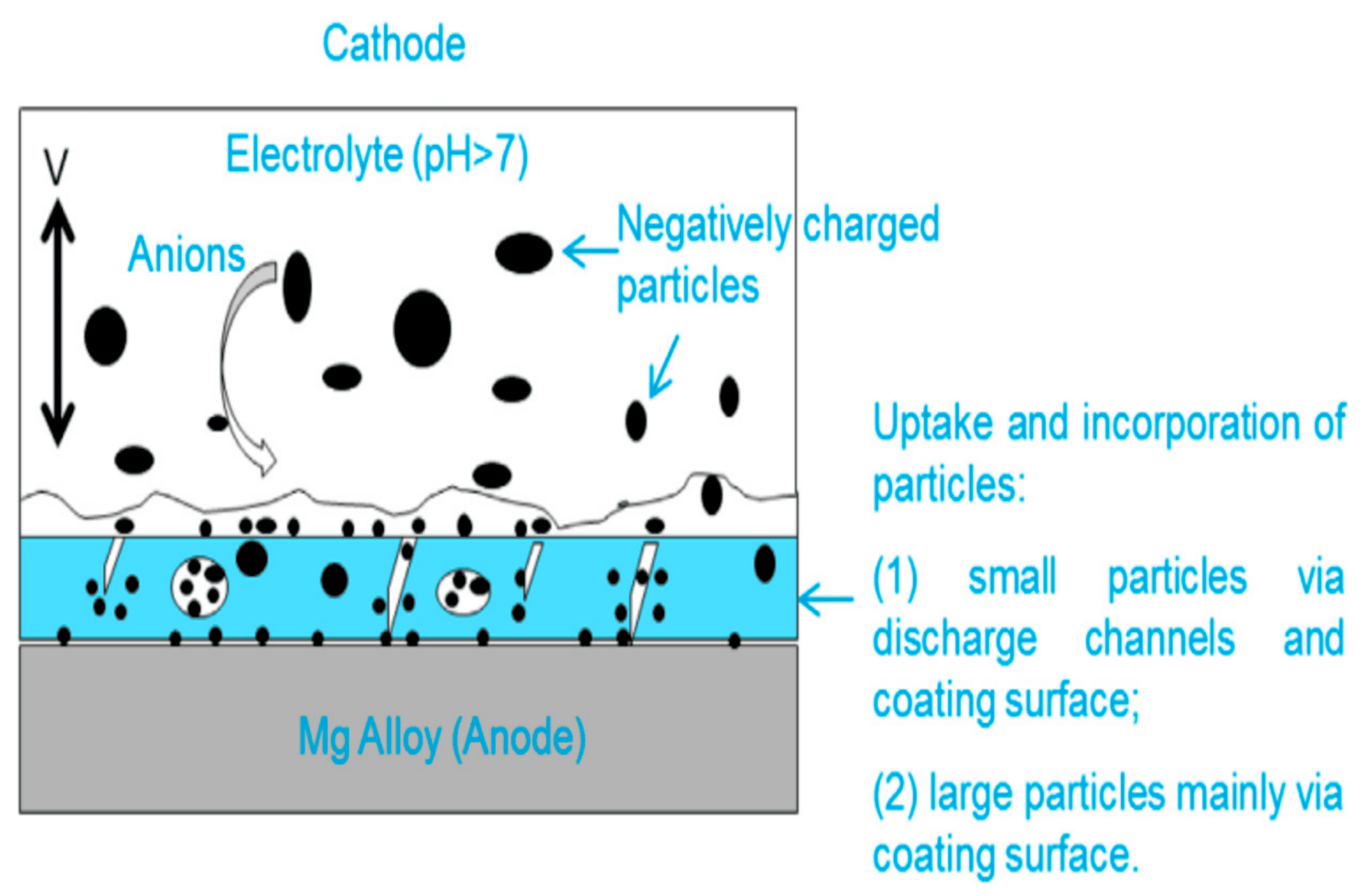 Materials 18 00822 g002