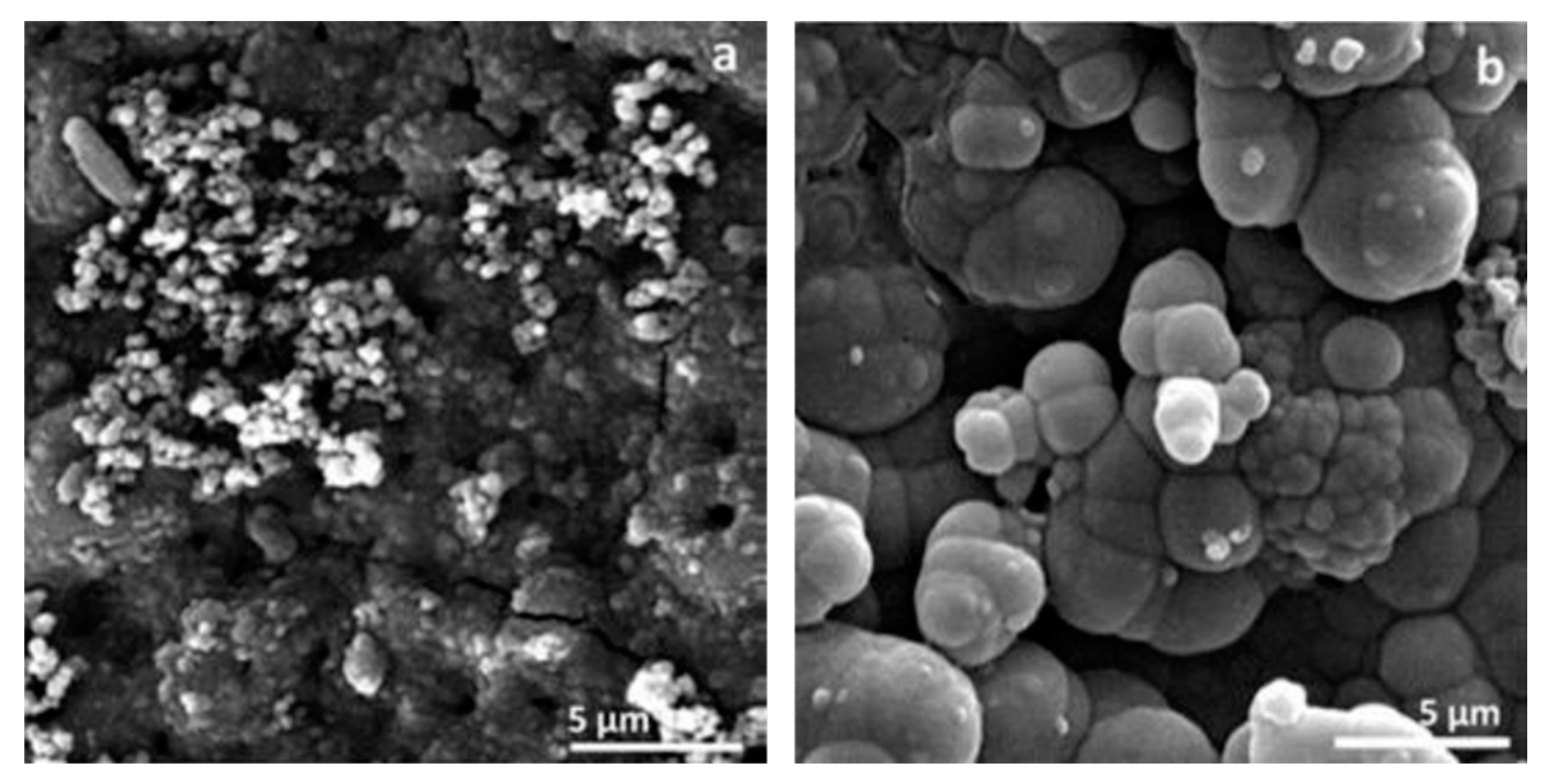 Materials 18 00822 g004