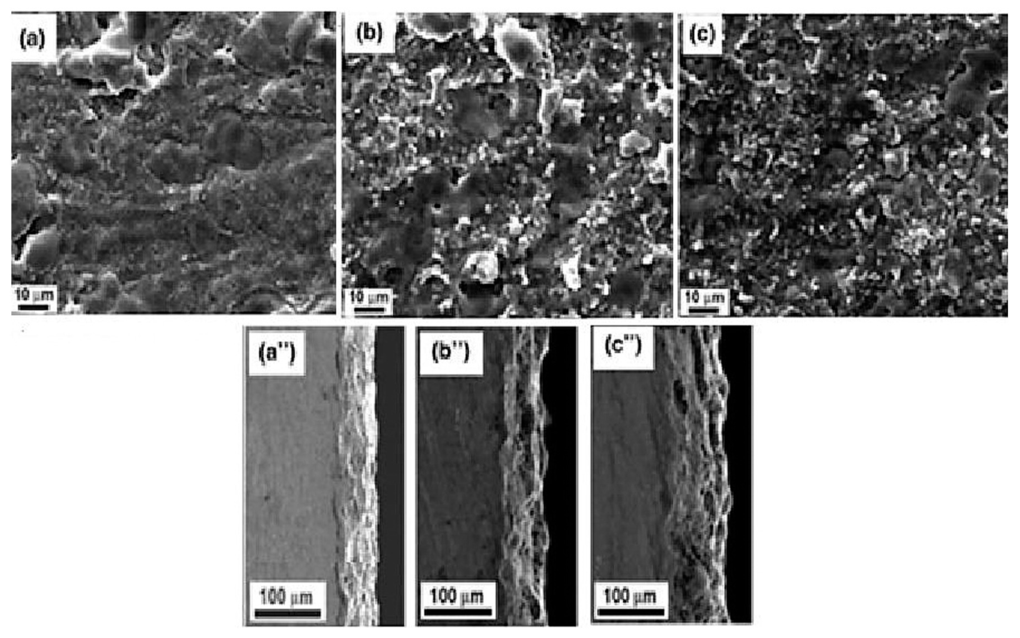 Materials 18 00822 g005