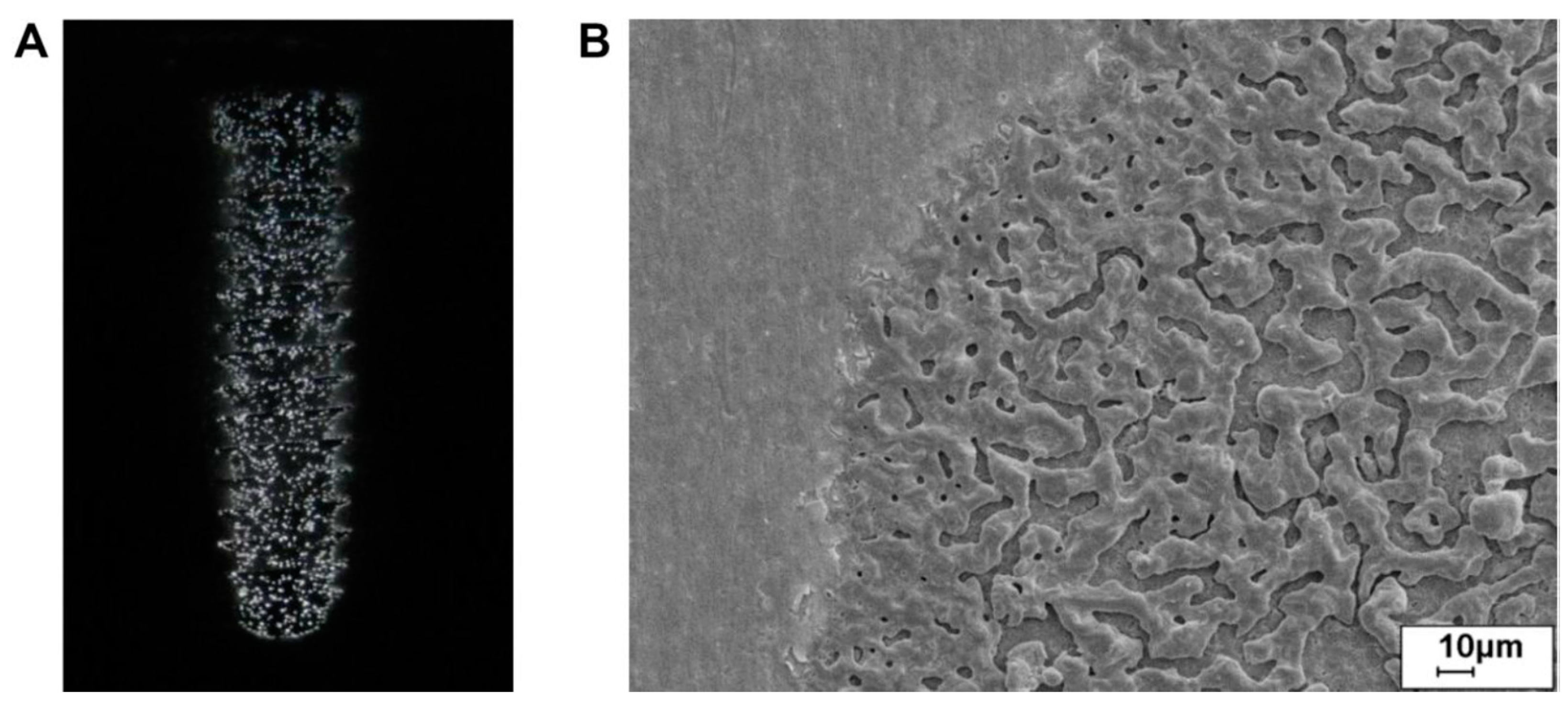 Materials 18 00822 g007