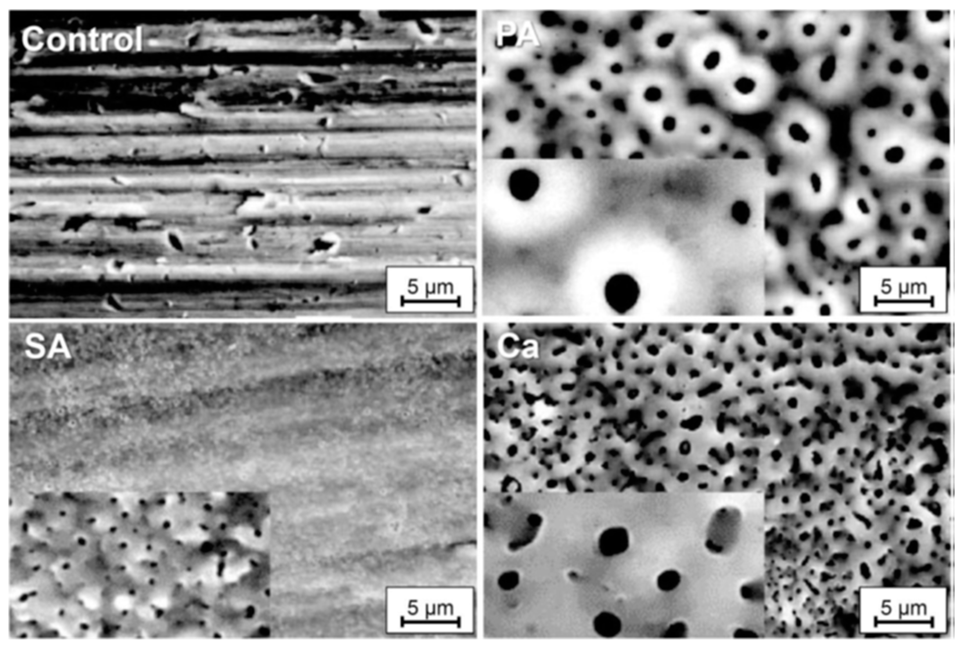 Materials 18 00822 g009