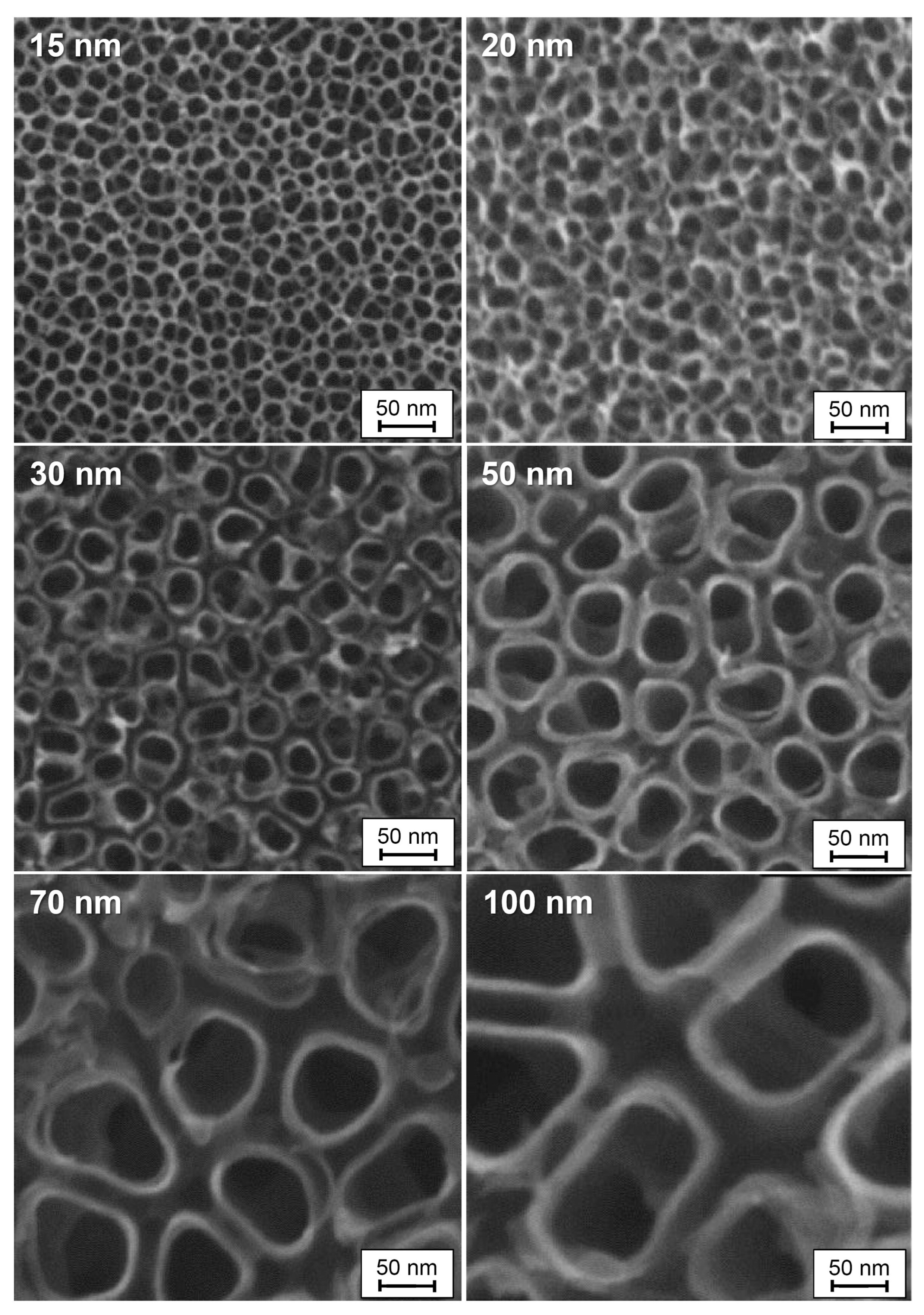 Materials 18 00822 g010