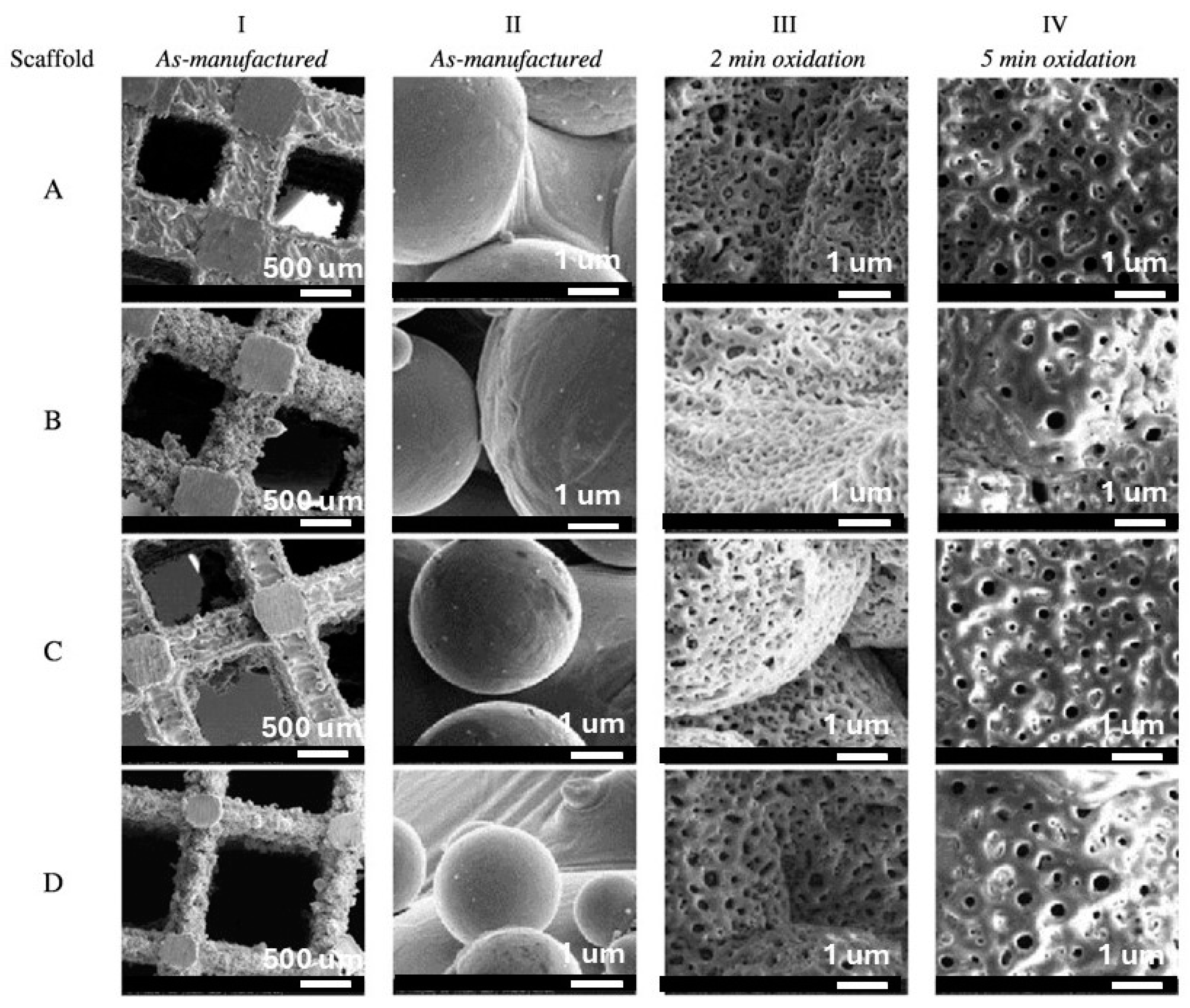 Materials 18 00822 g012