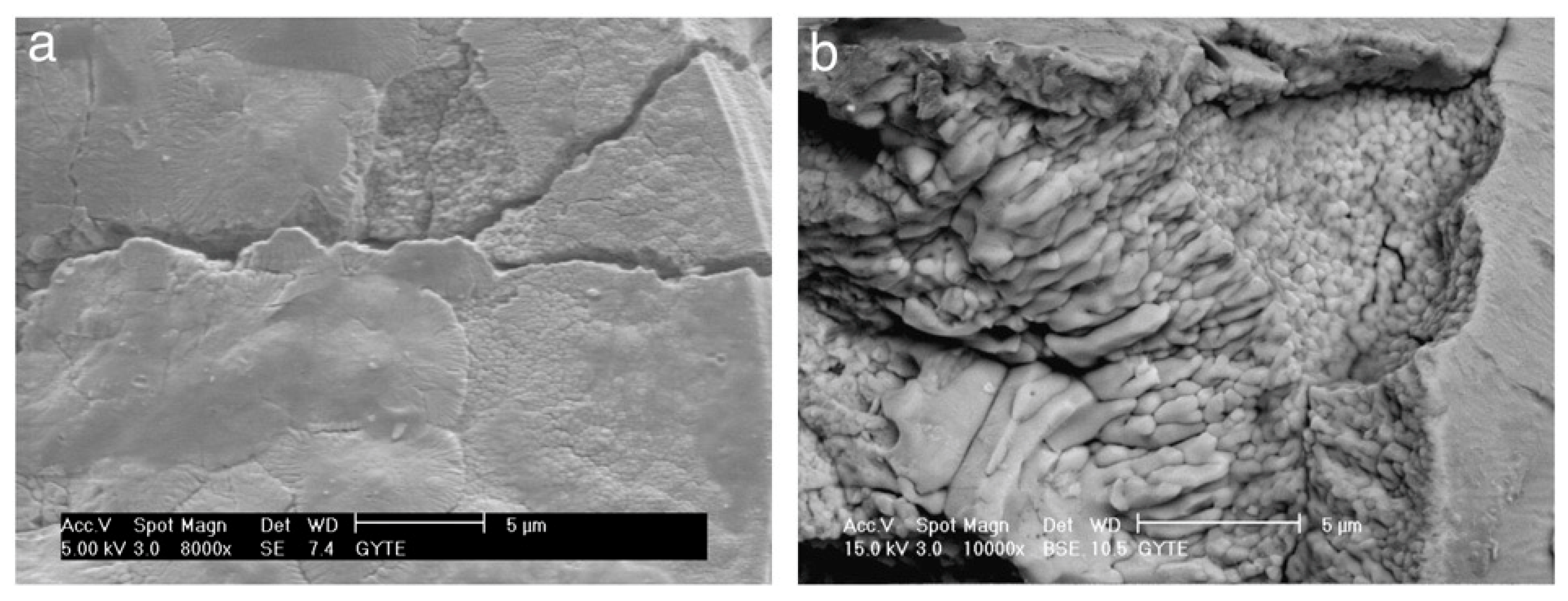 Materials 18 00822 g018