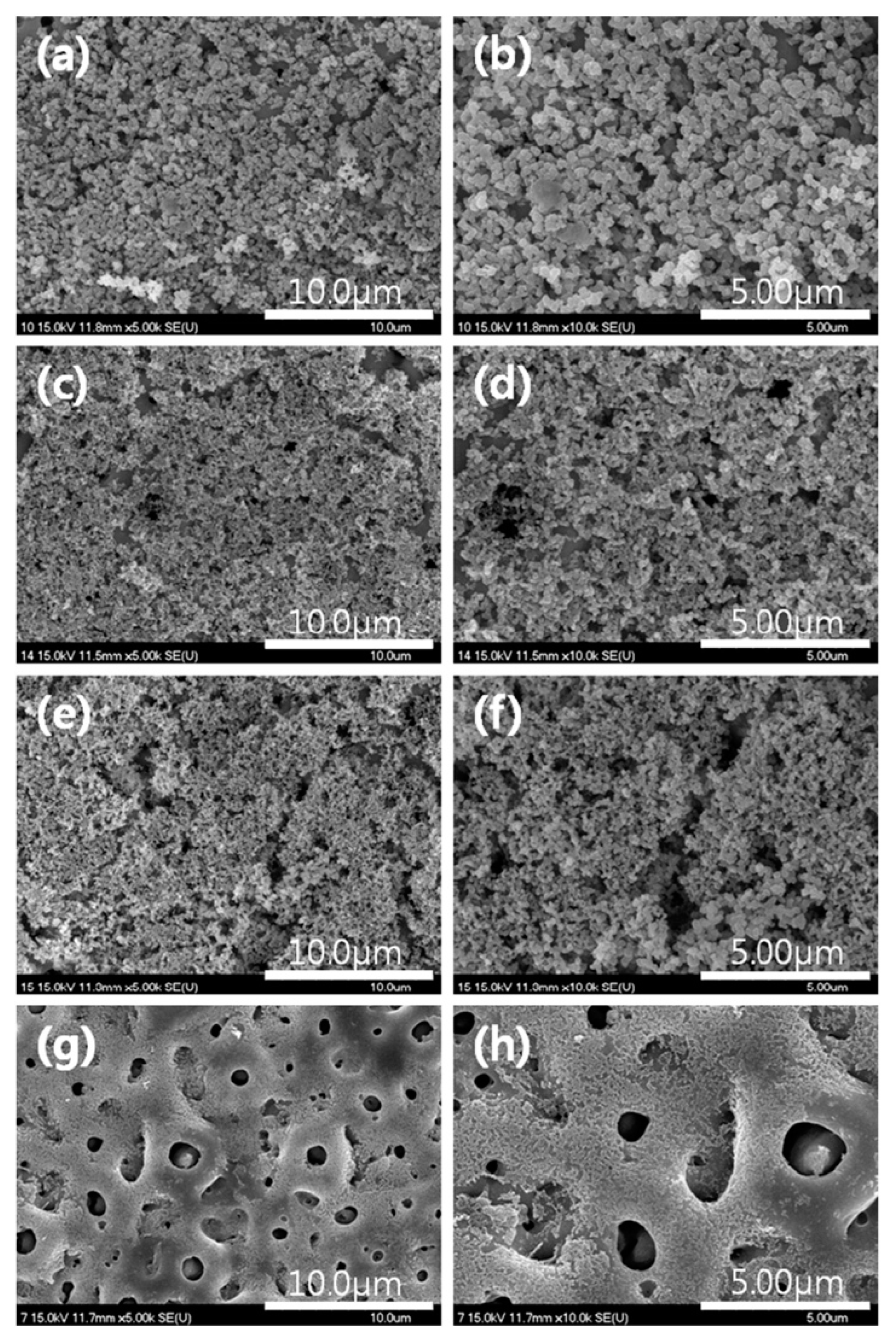 Materials 18 00822 g021