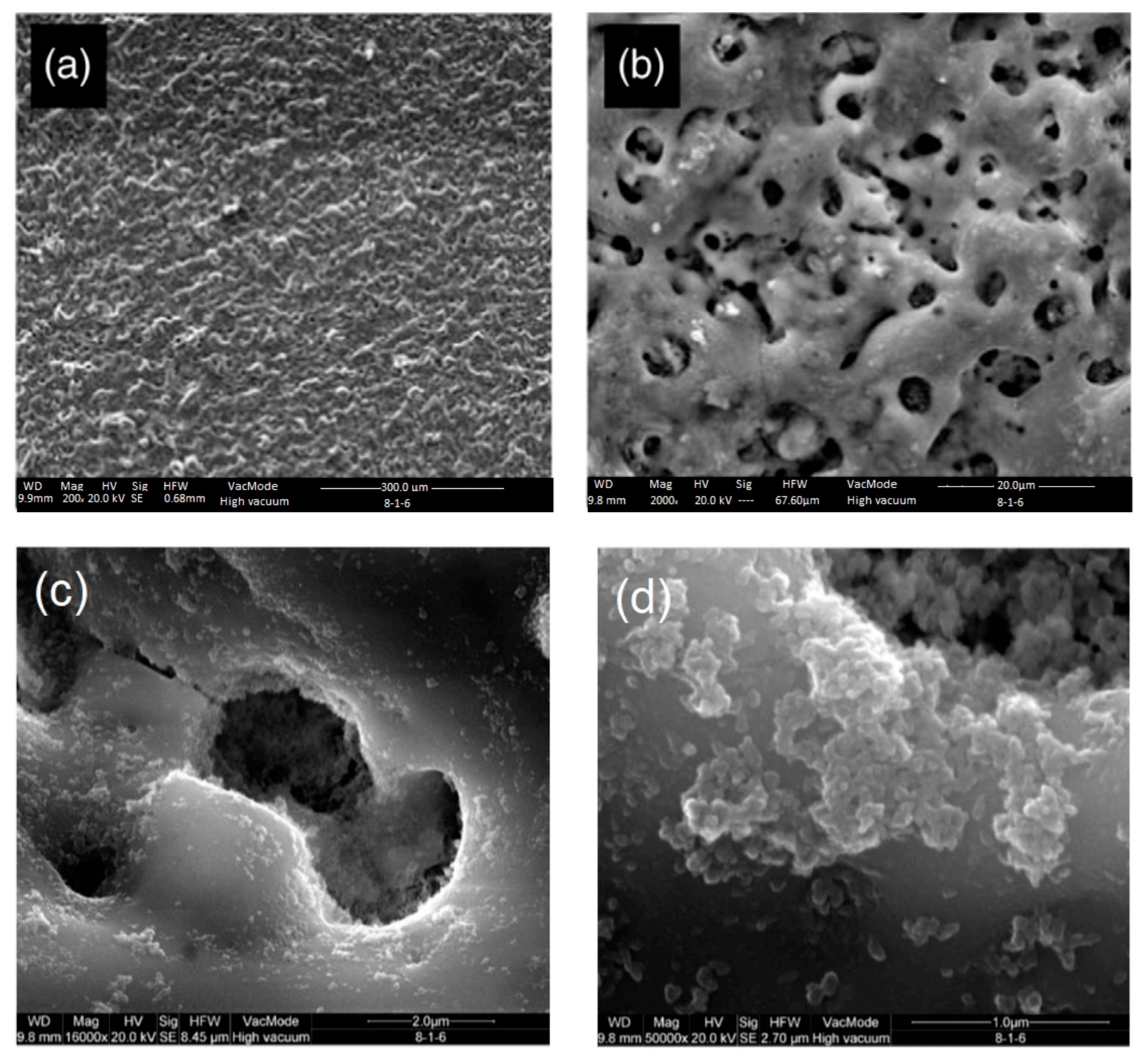 Materials 18 00822 g022